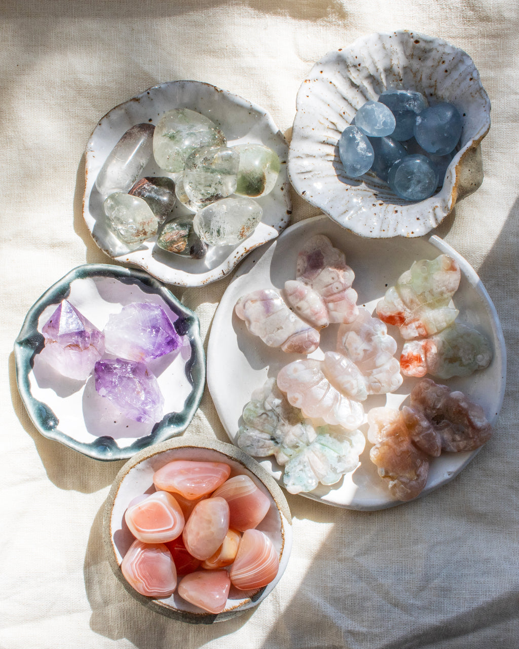 Growth and Transformation Bundle
