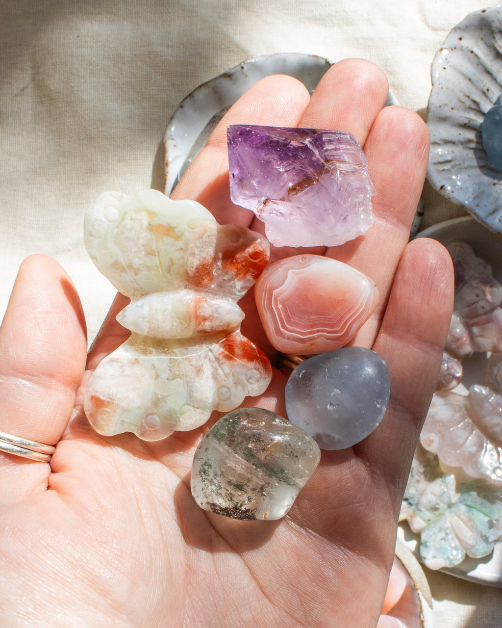 Growth and Transformation Bundle