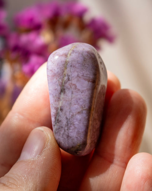 Hand holding a purple stone with blurred purple flowers in the background
