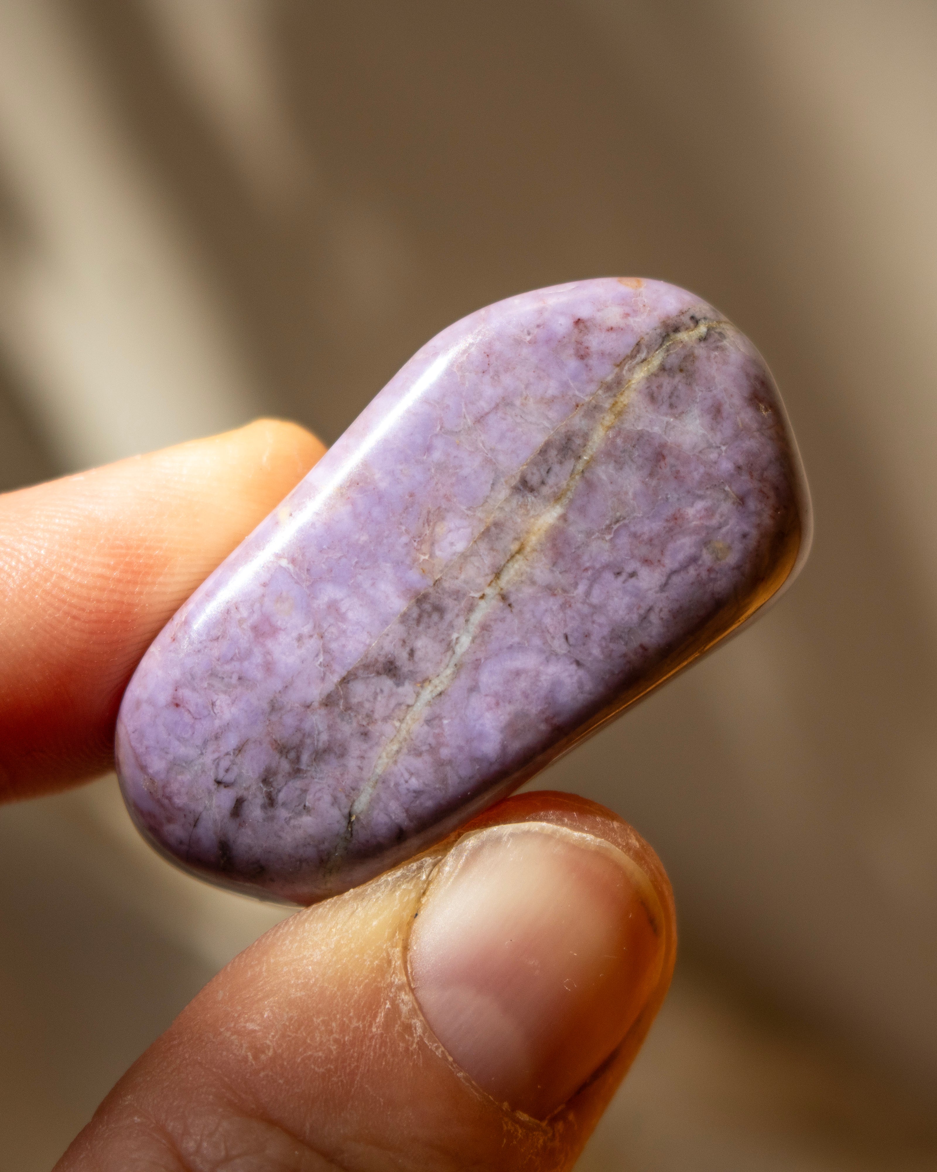 Hand holding a purple stone with a blurred background