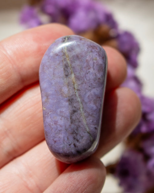 Purple stone held in a hand with blurred purple flowers in the background
