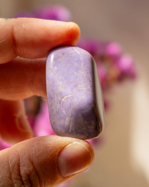 Hand holding a purple stone with blurred pink flowers in the background