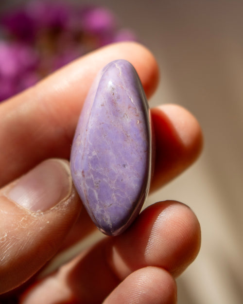 Purple stone held between fingers with blurred purple flowers in the background