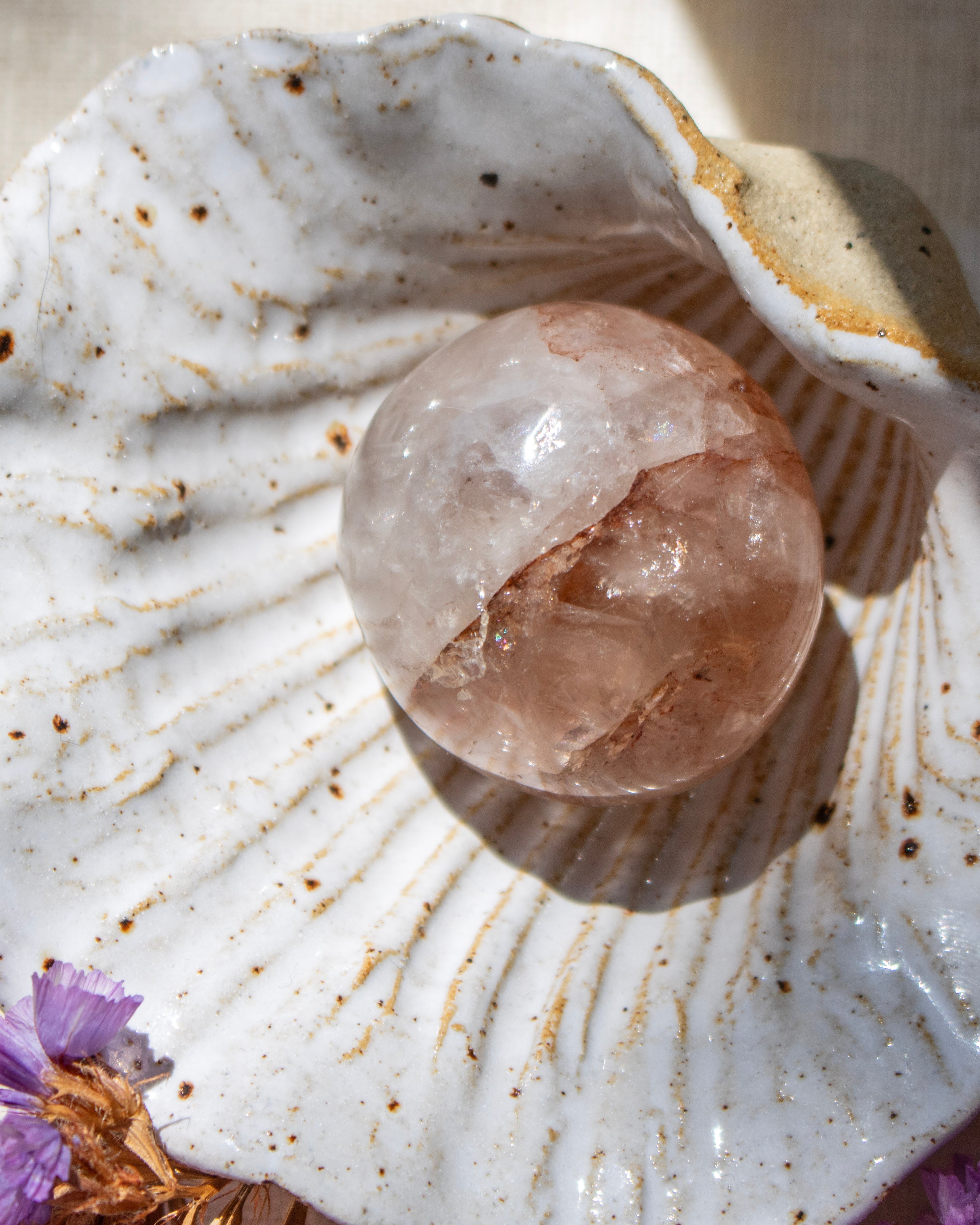 Crystal ball on a seashell with a natural background