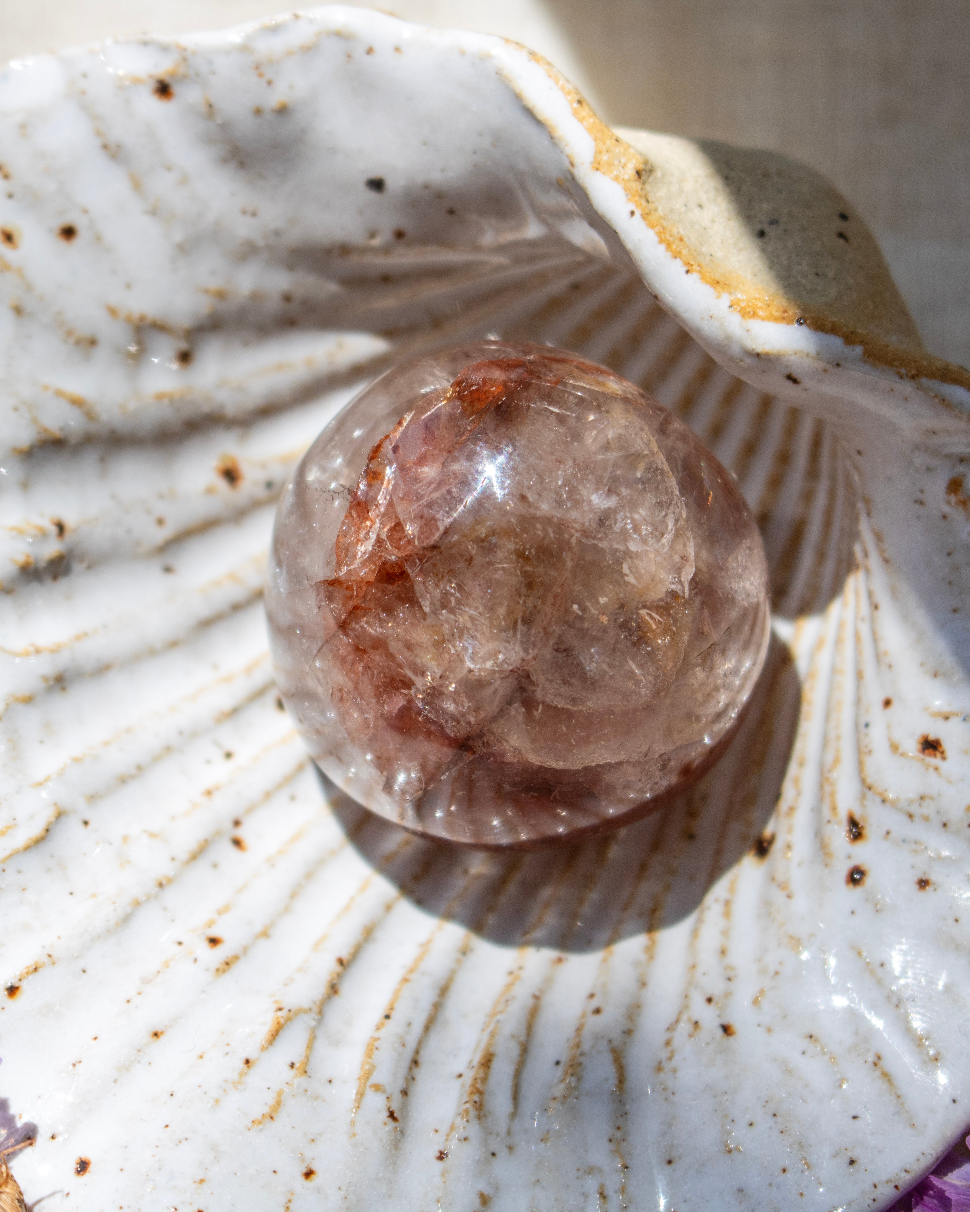 Crystal ball inside a shell on a textured surface