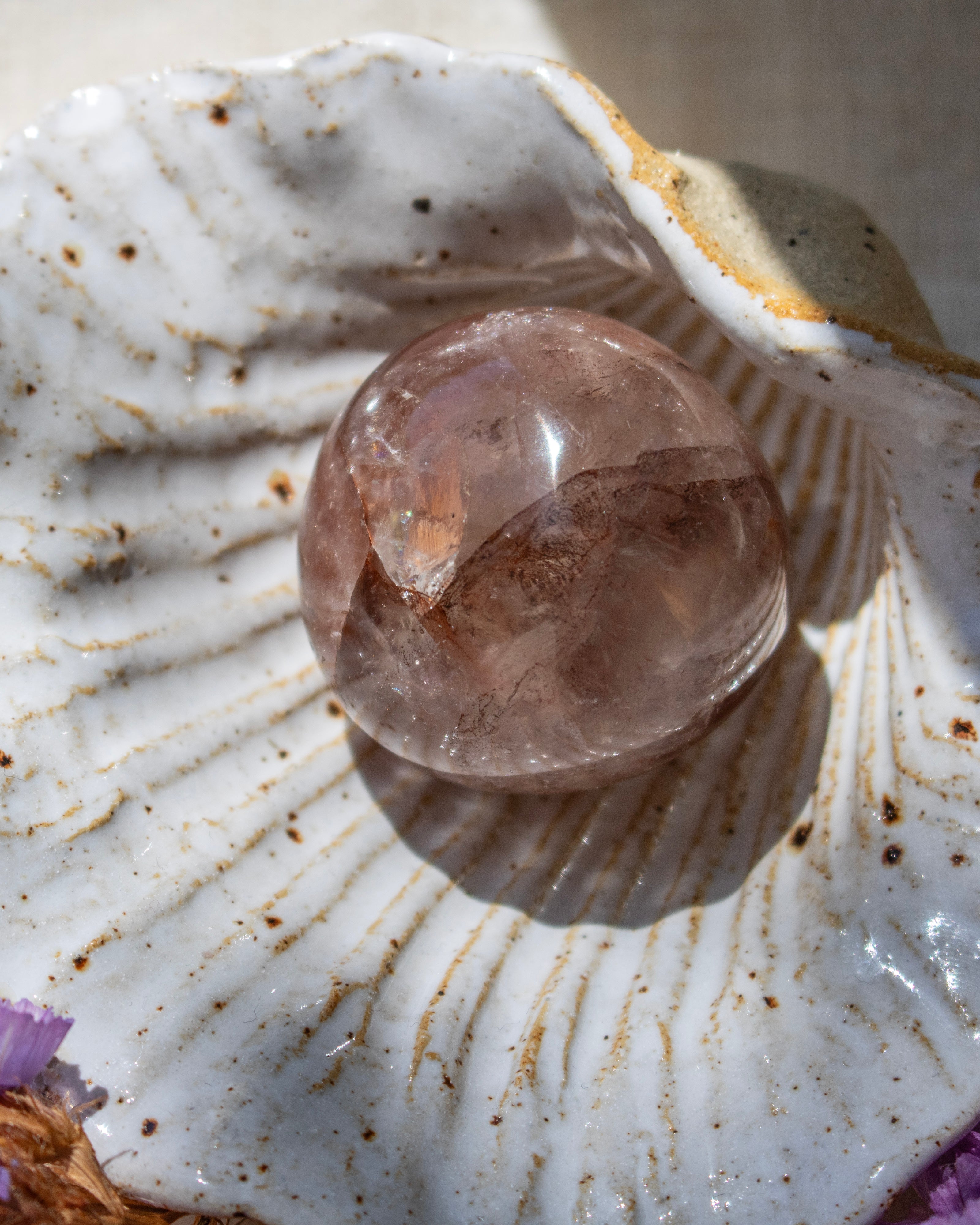 Clear crystal ball on a seashell with a blurred background
