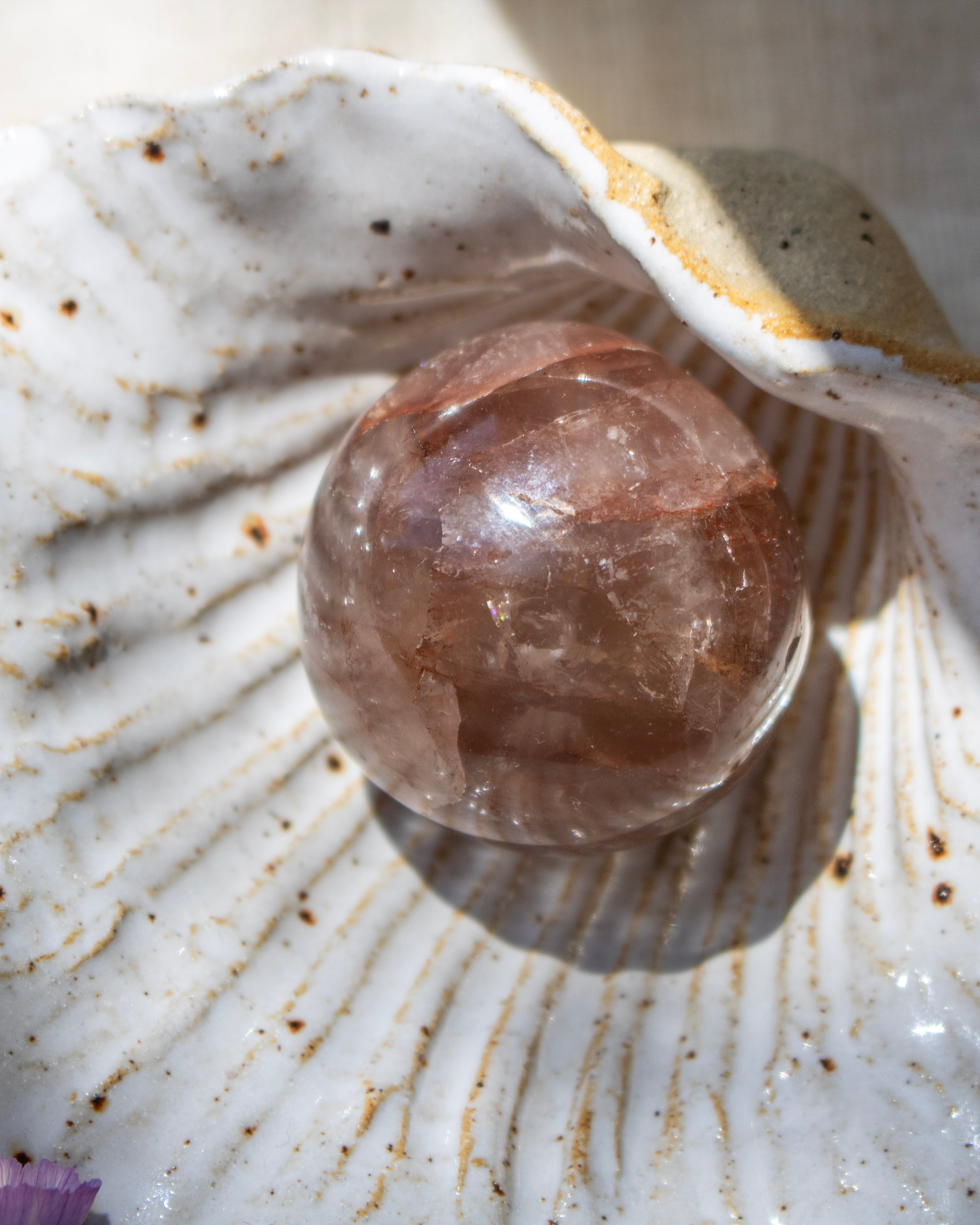 Crystal ball inside a shell on a textured surface