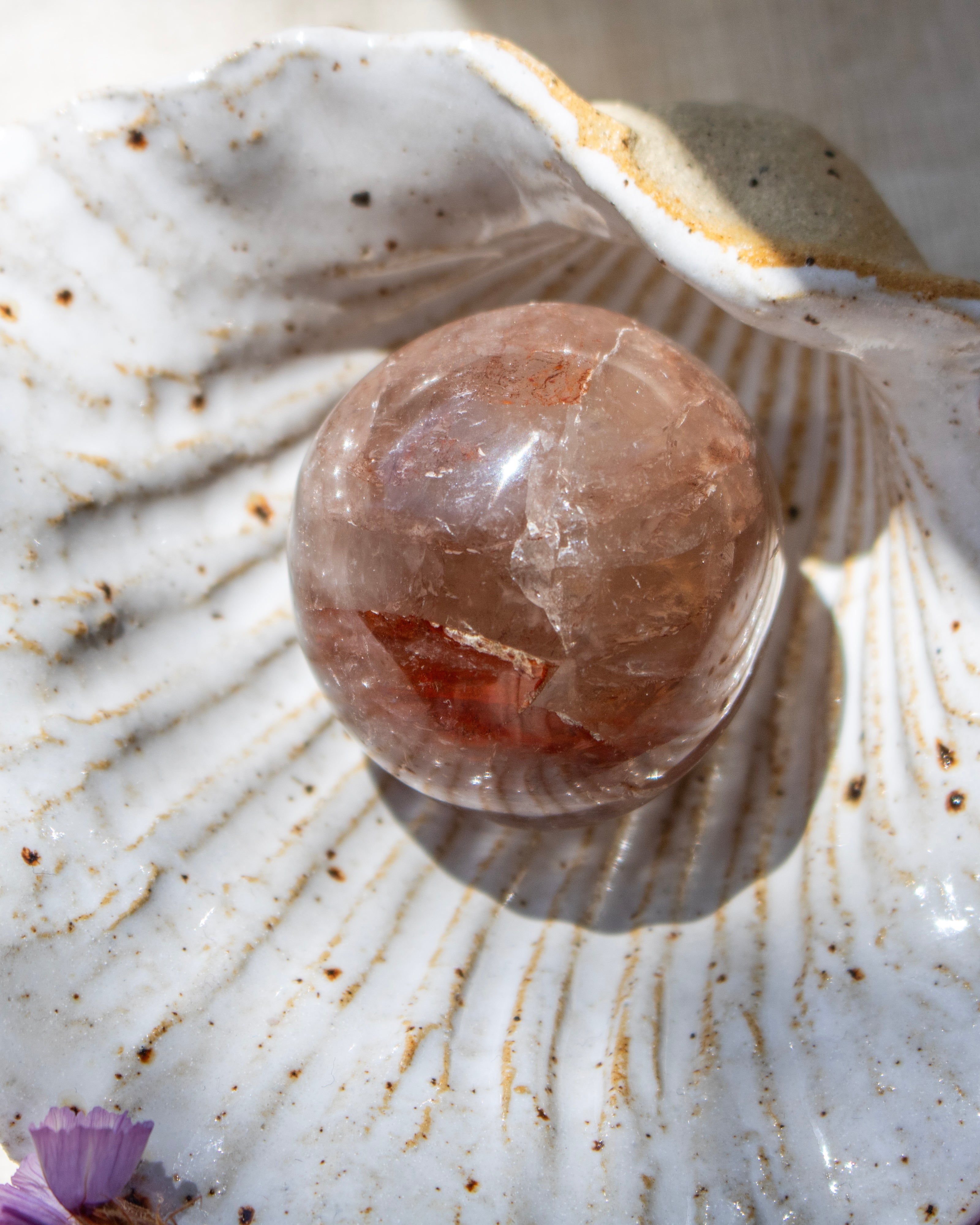 Crystal ball inside a shell with a natural background