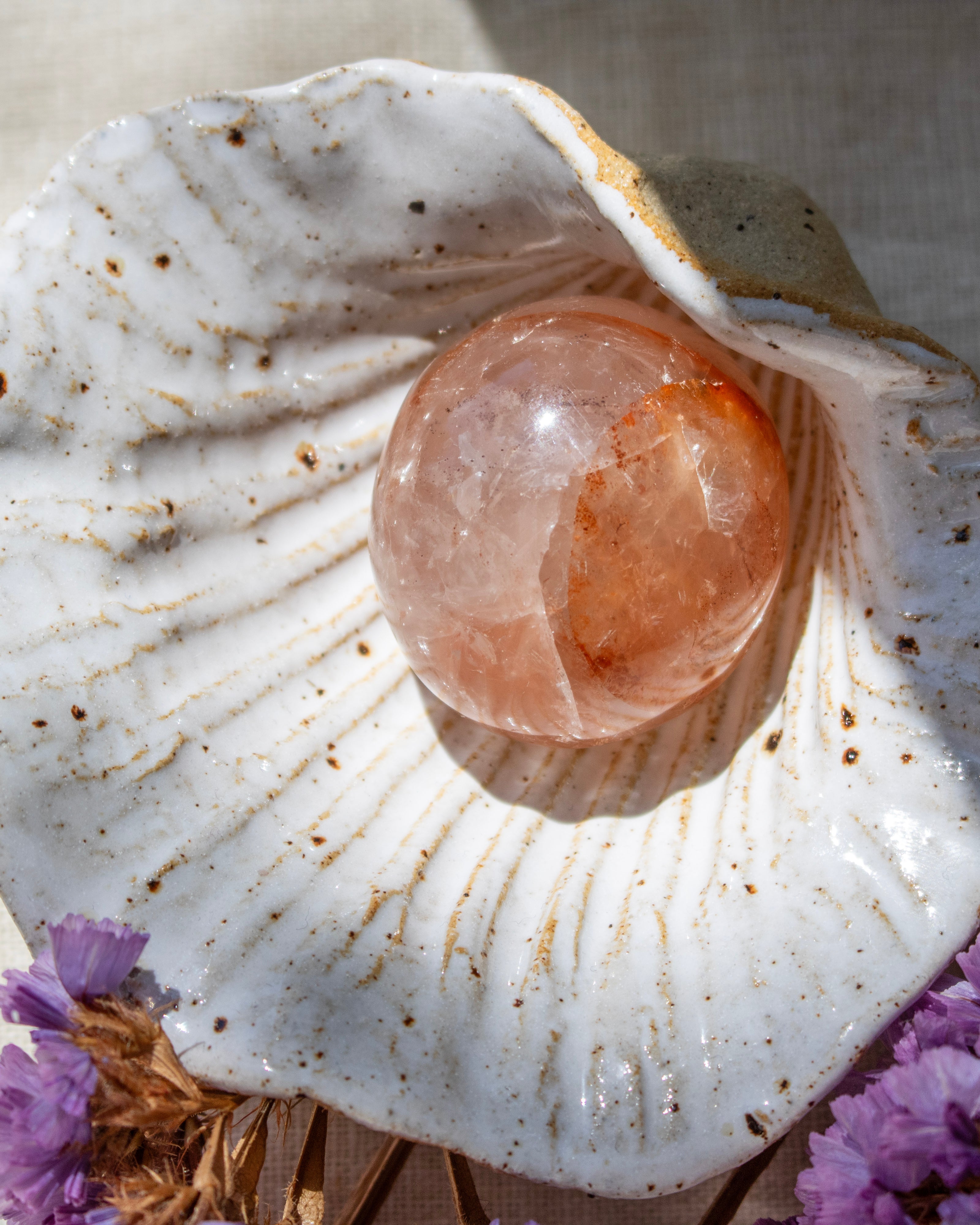 Close-up of a seashell with a pink crystal inside, surrounded by purple flowers.