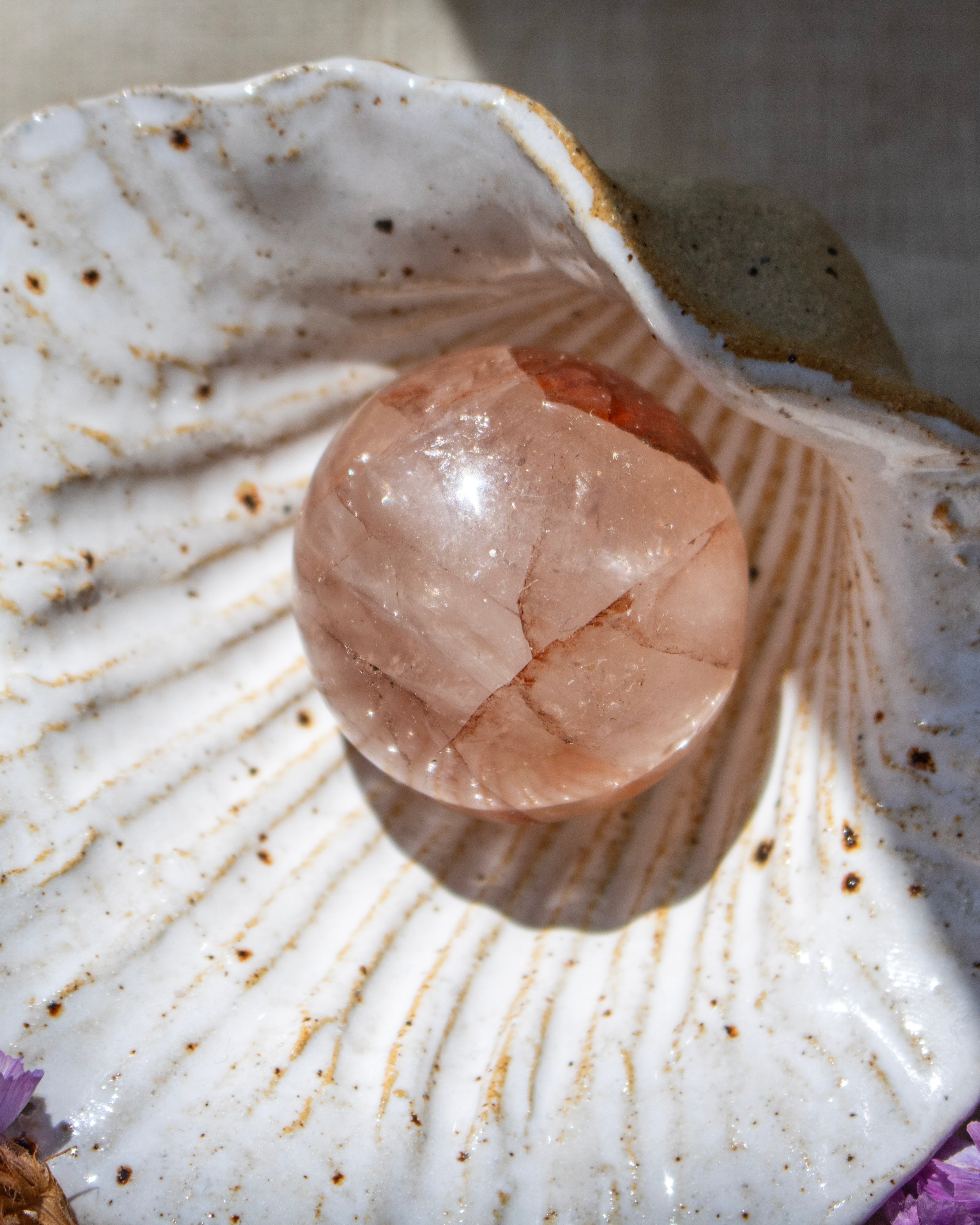 Crystal ball on a seashell with a natural background