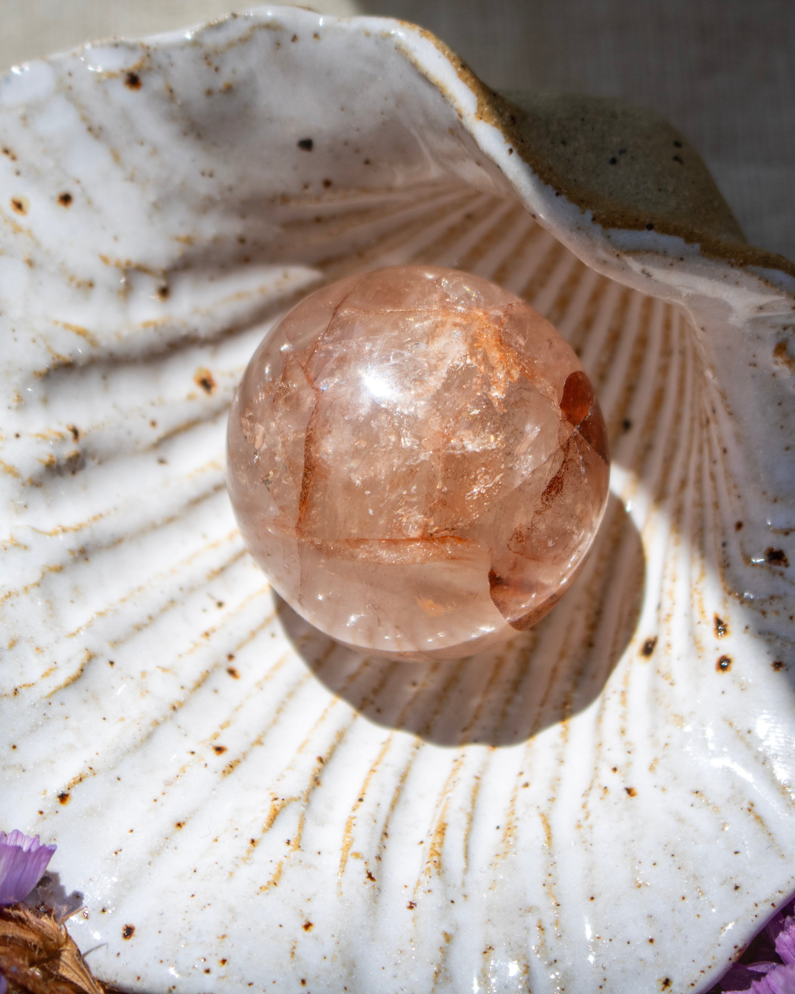 Crystal ball inside a shell with a natural background