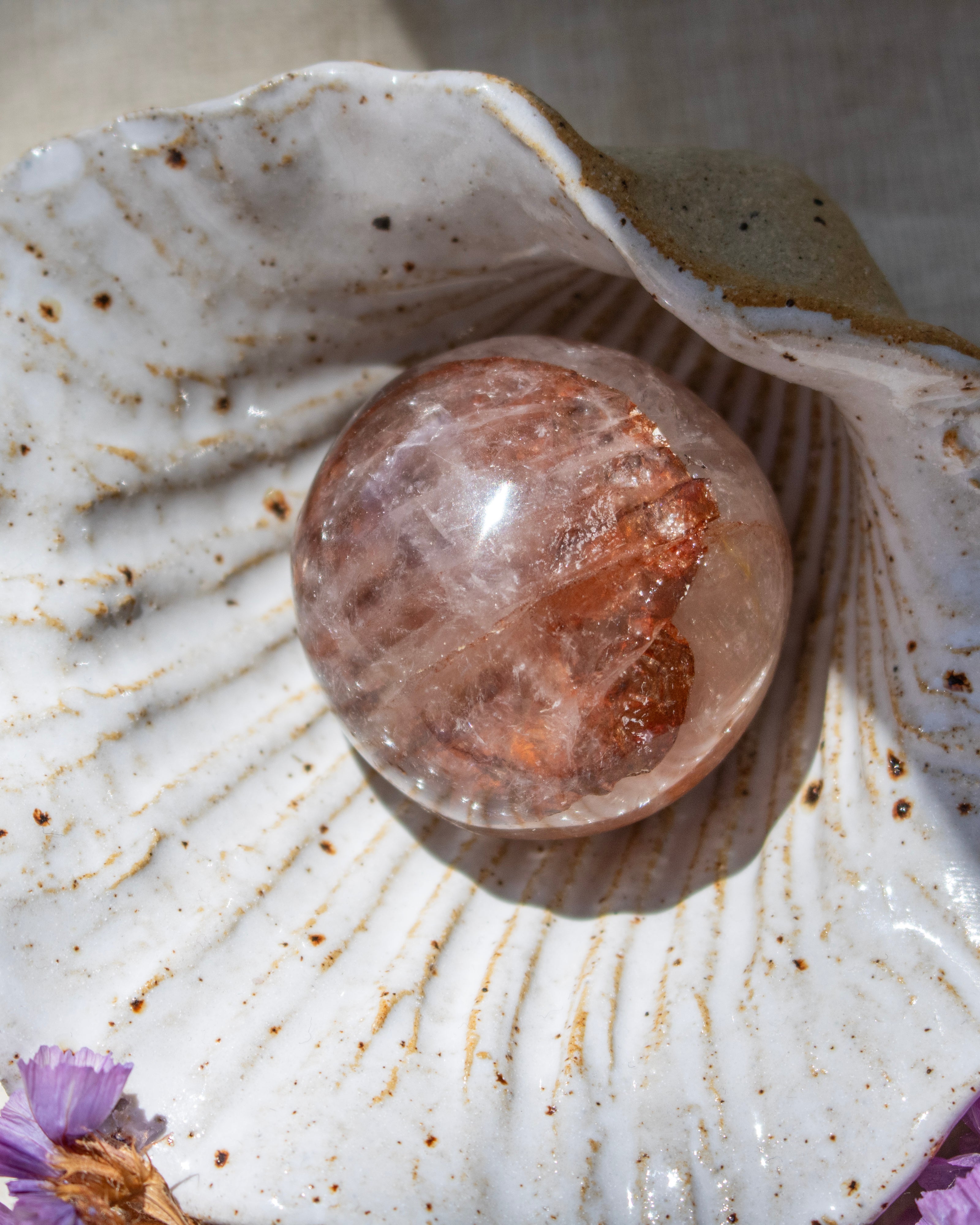 Crystal stone on a seashell with a soft focus background
