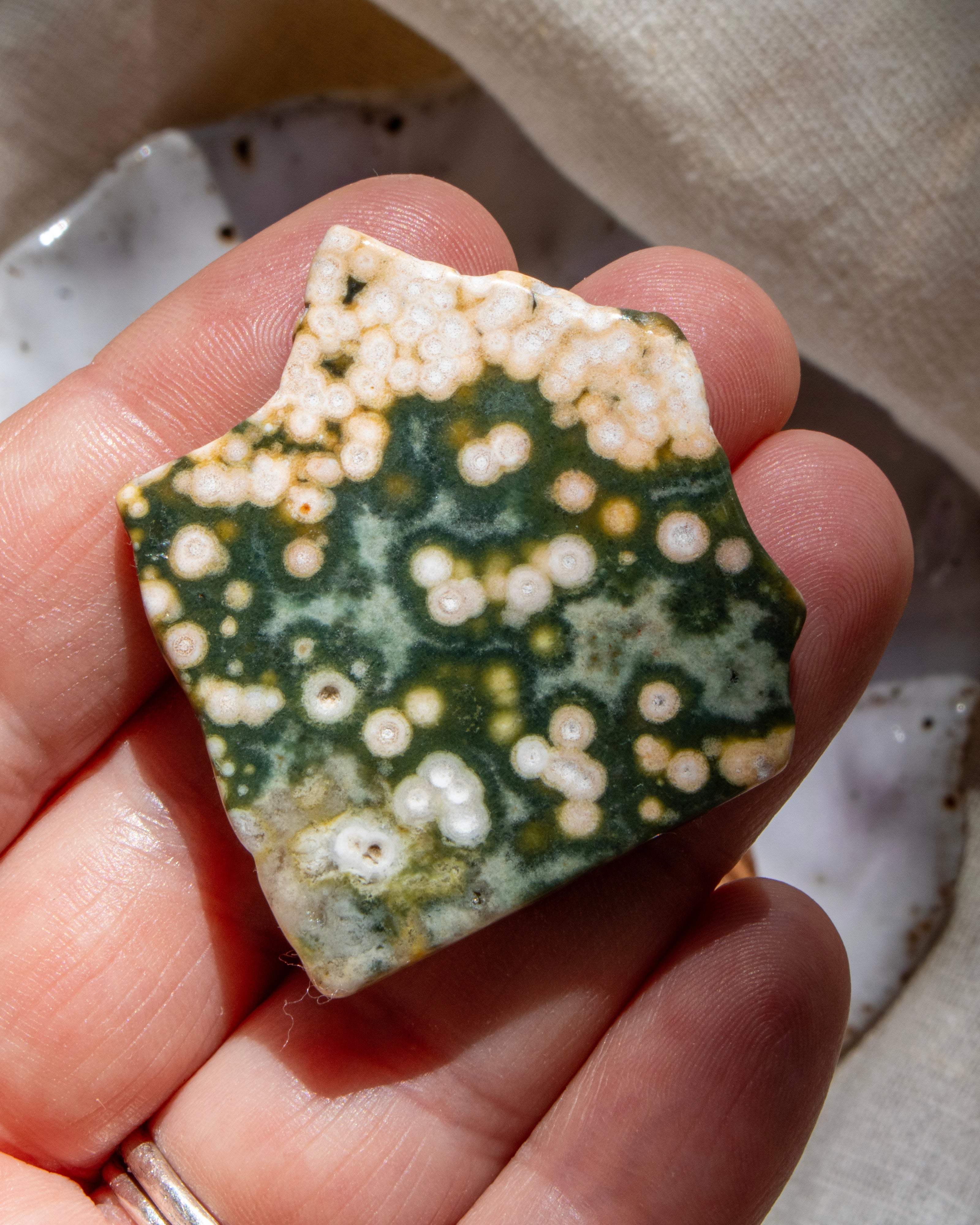 Hand holding a piece of green and white patterned stone