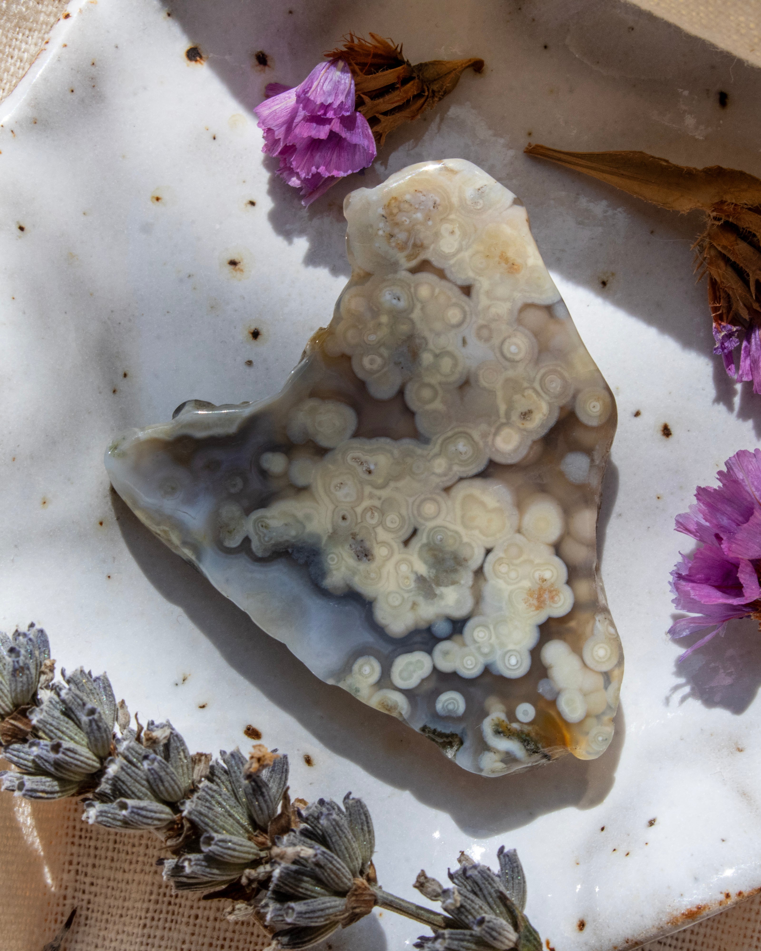 Decorative stone with floral elements on a textured surface
