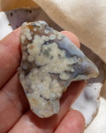 Close-up of a hand holding a piece of agate with intricate patterns.
