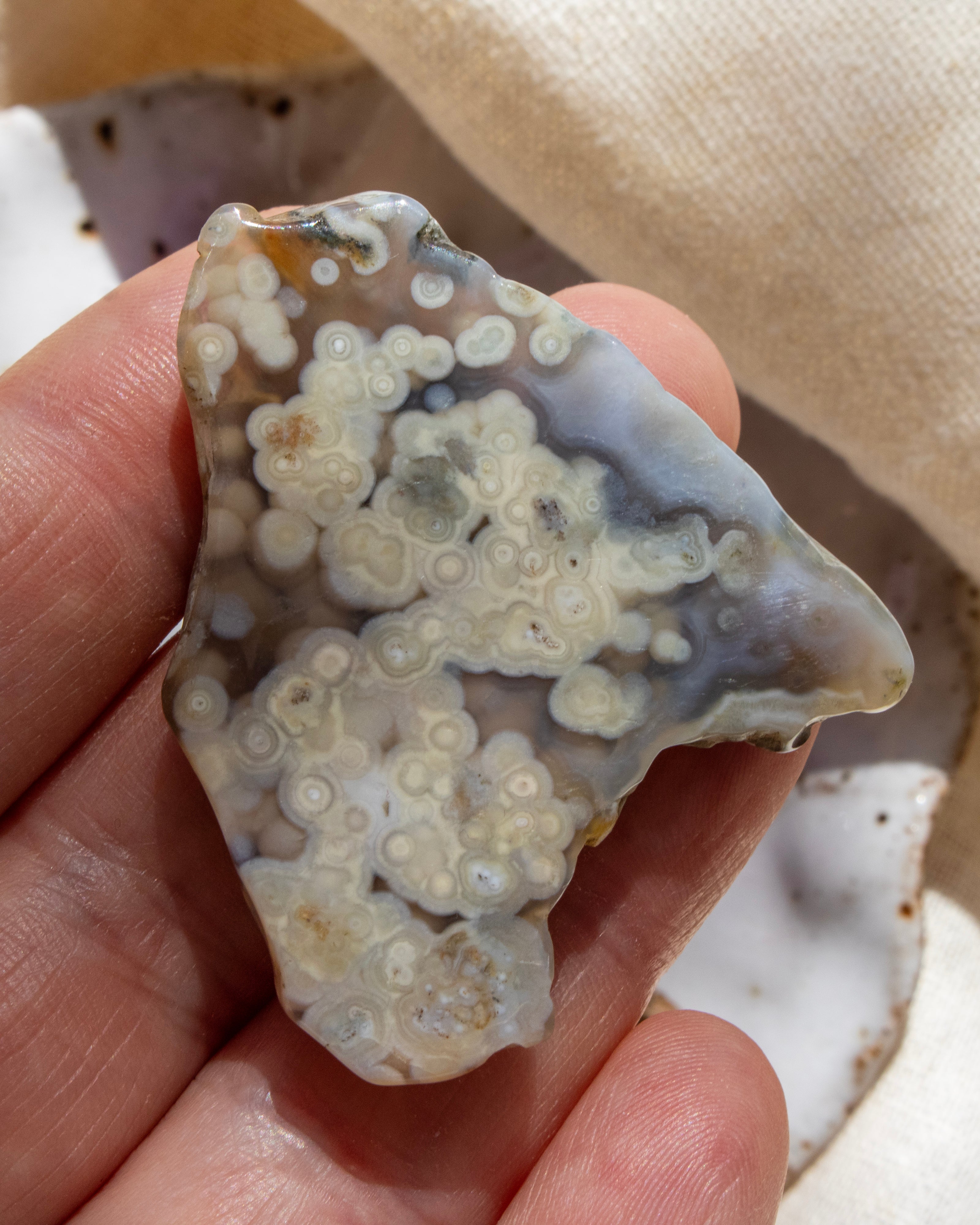 Close-up of a hand holding a piece of agate with intricate patterns.