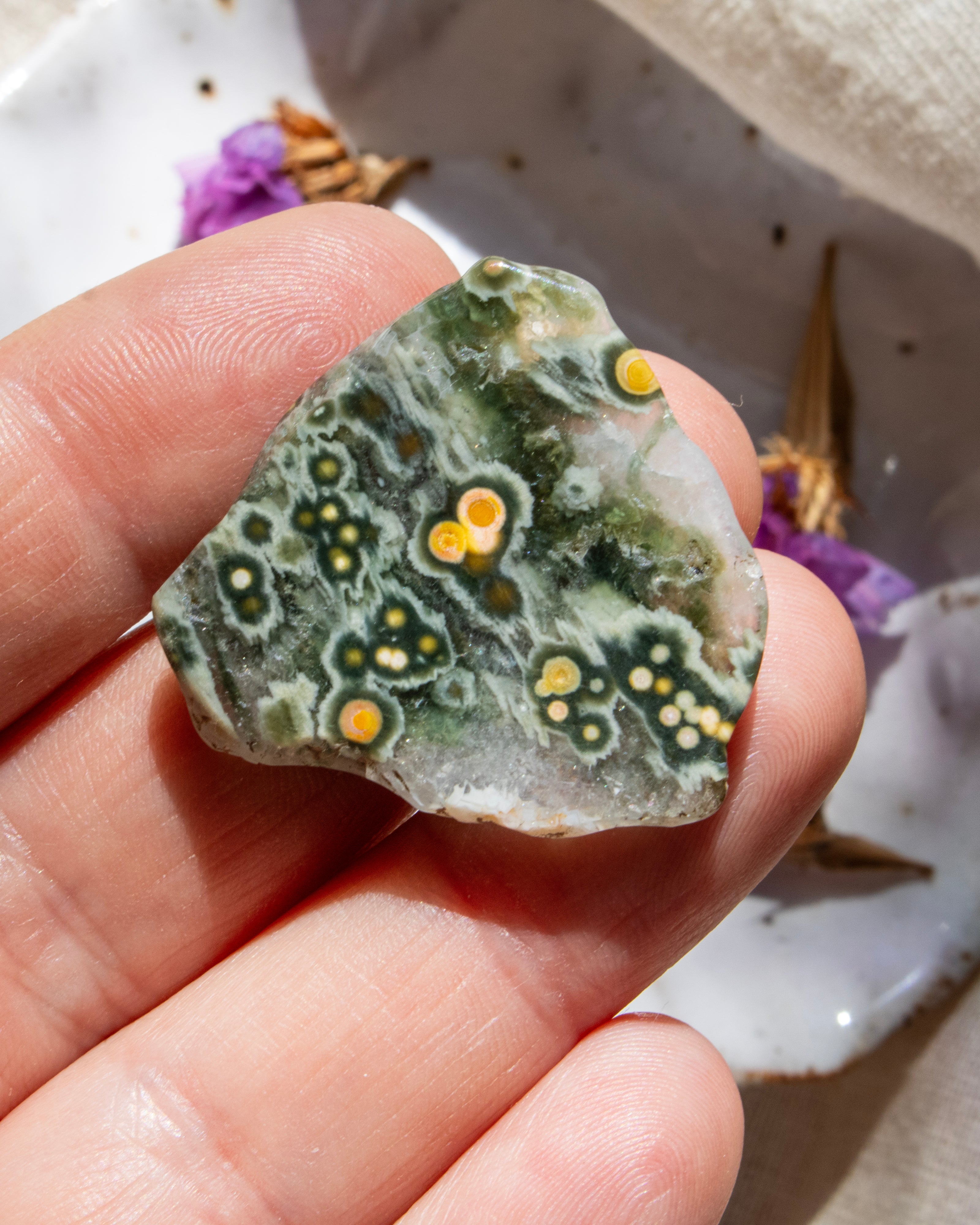 Close-up of a hand holding a polka dot jasper stone with a blurred background.