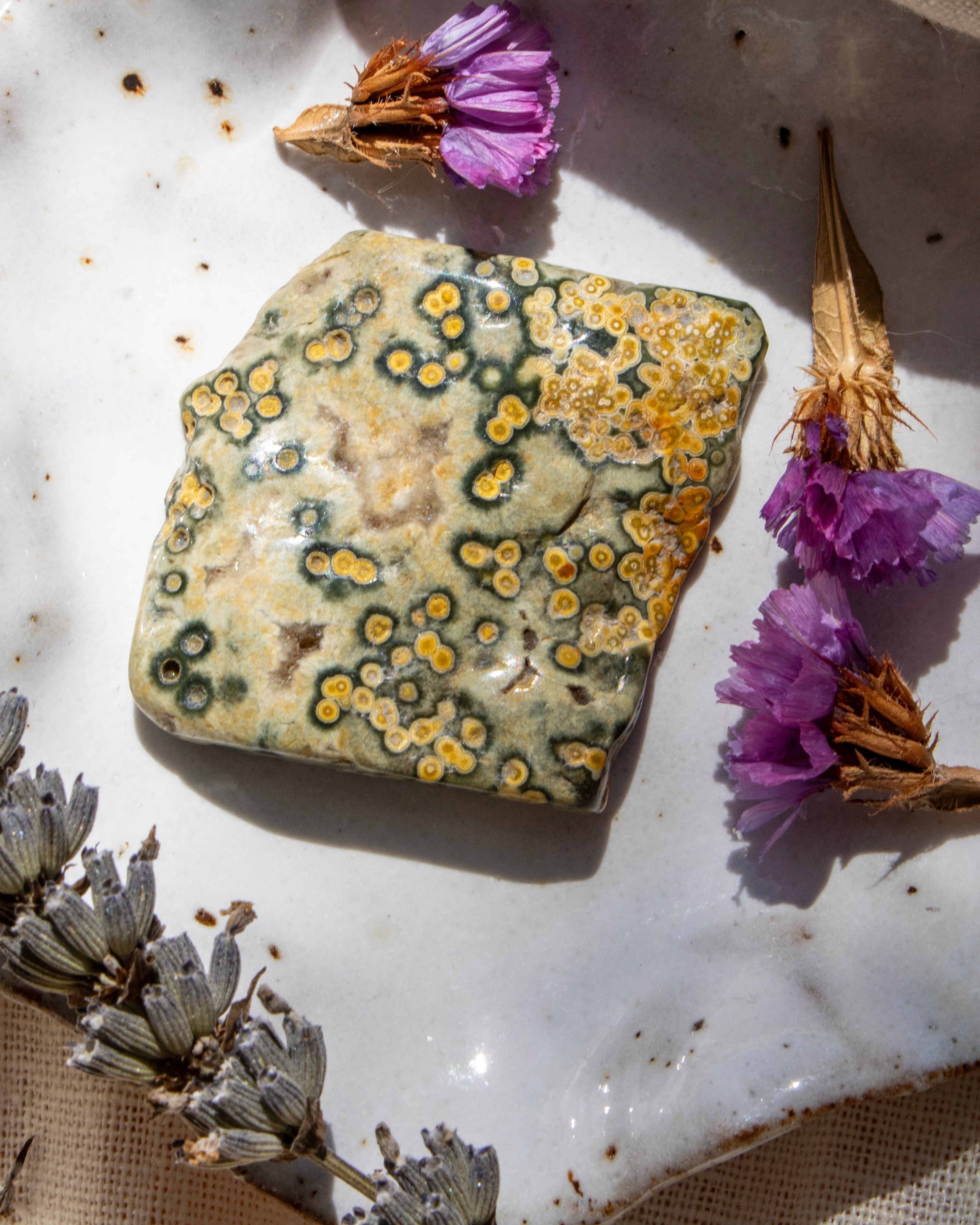 Decorative stone with lichen surrounded by dried flowers on a textured surface