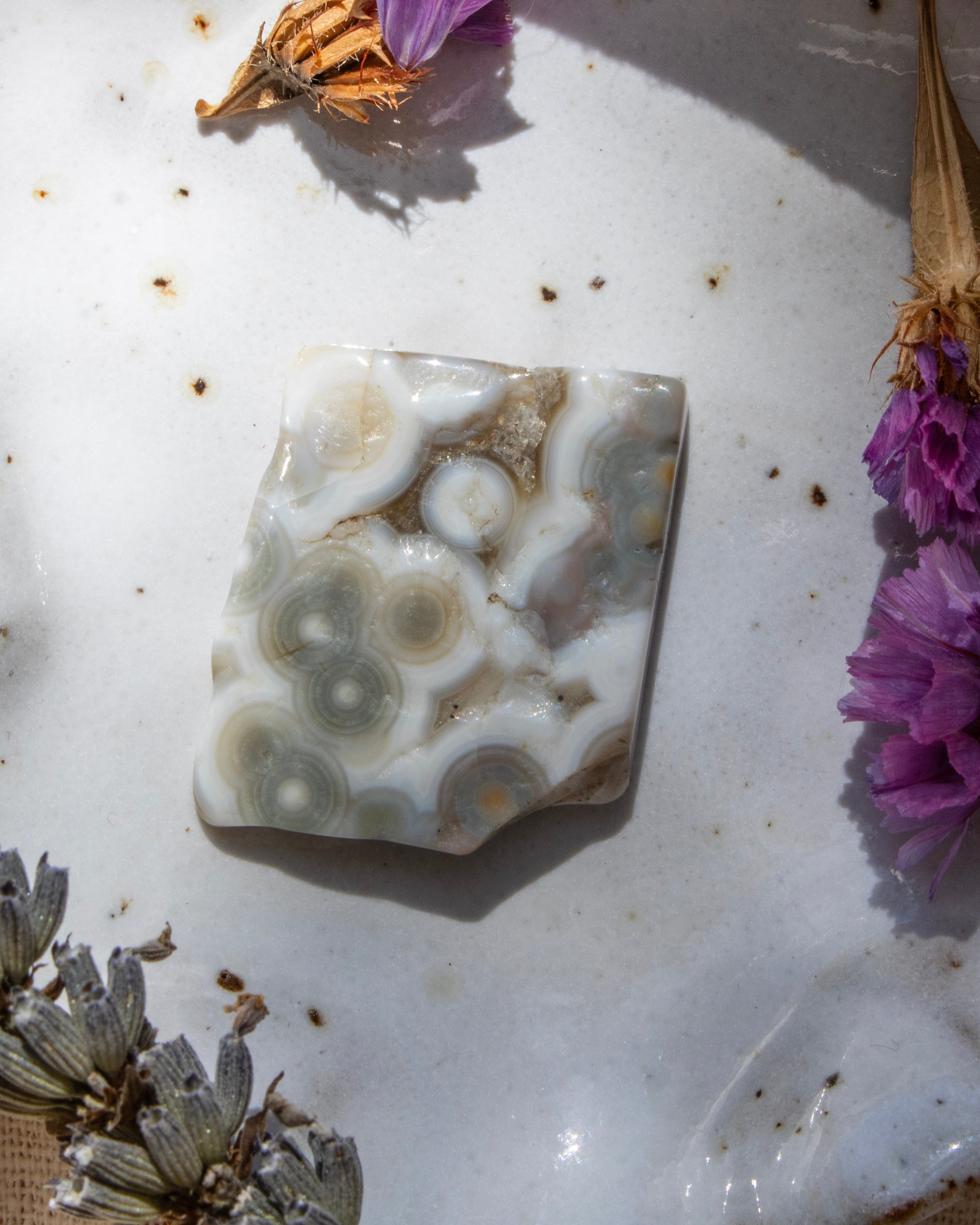 Decorative stone with bubble-like patterns on a white surface with purple flowers and dried plants.