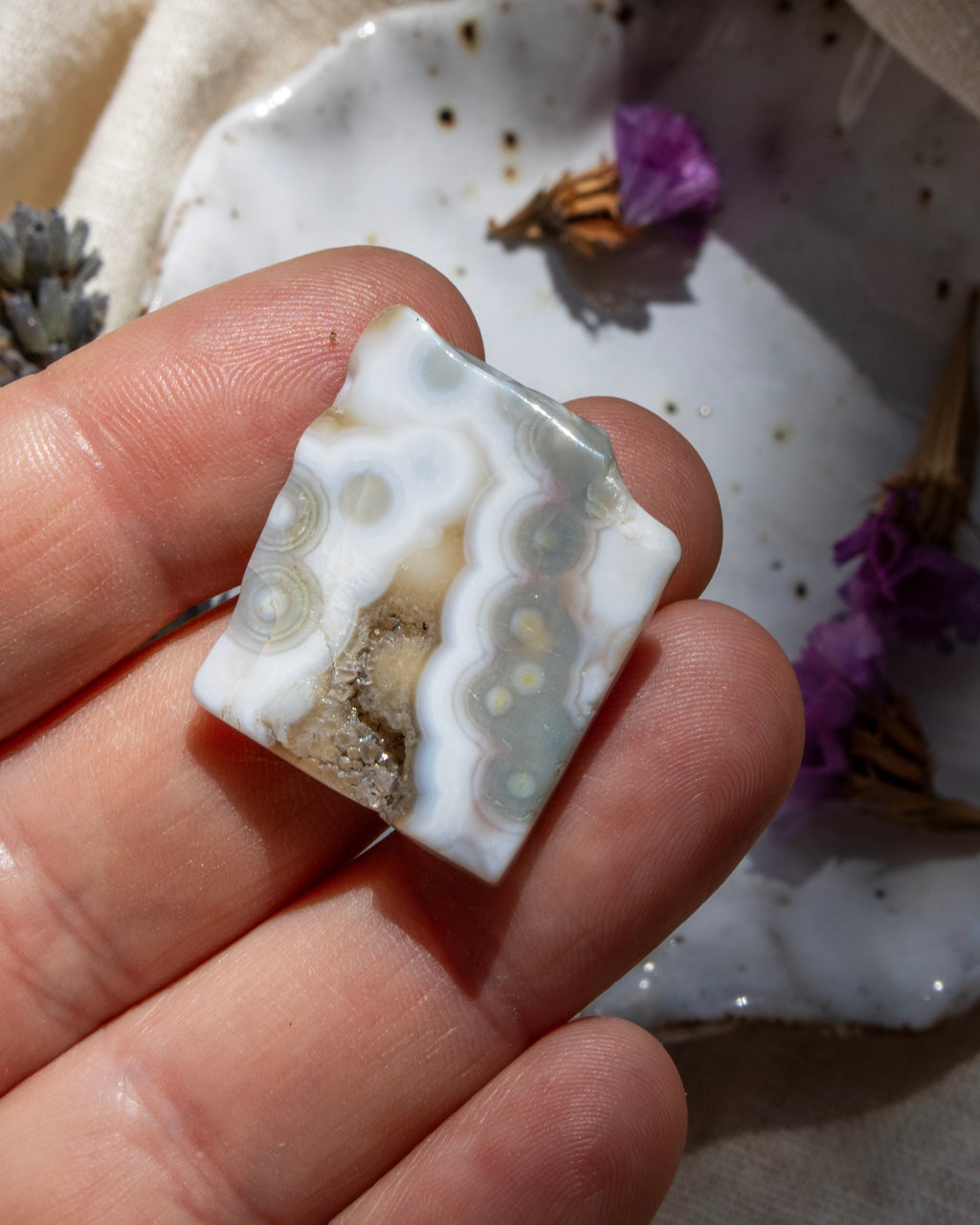 Hand holding a white stone with a natural background