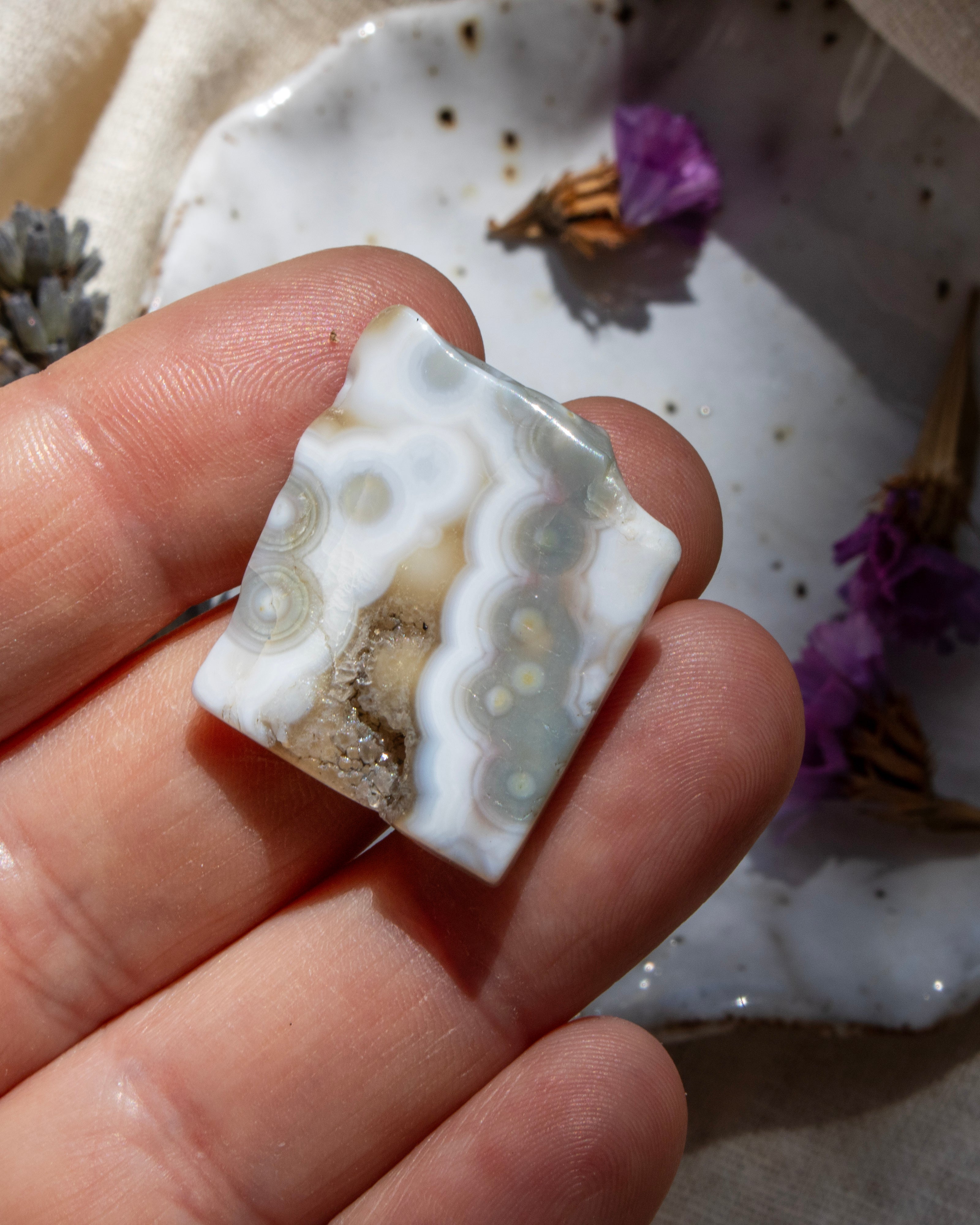 Hand holding a white stone with a natural background