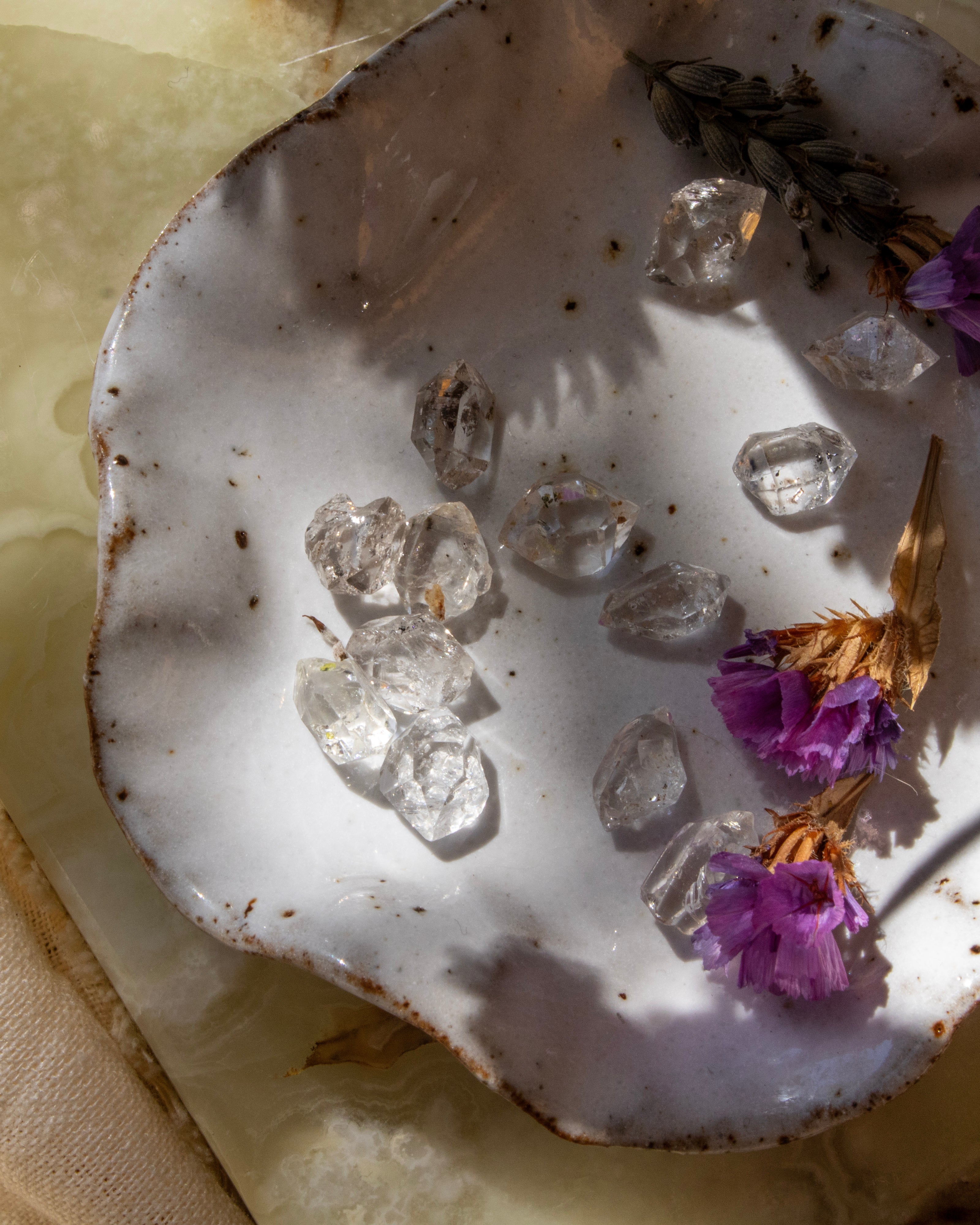 Crystal stones and dried flowers on a white shell