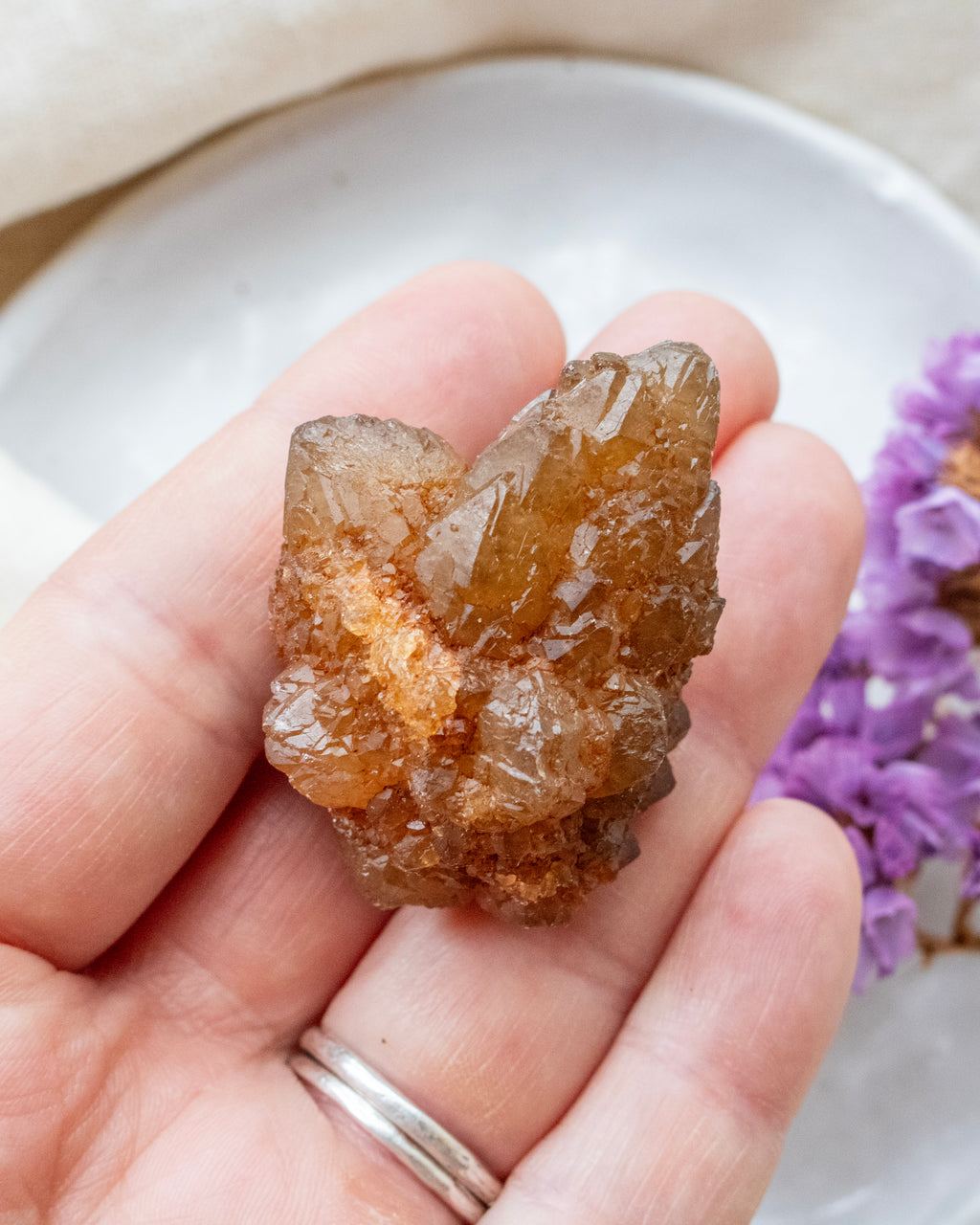 Hand holding a brown crystal with a blurred purple flower in the background