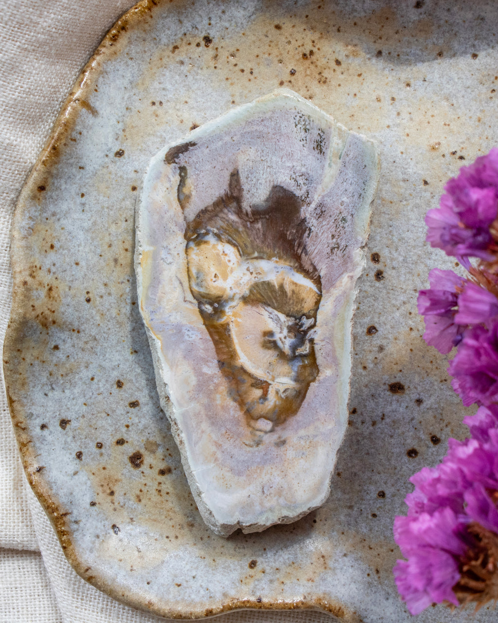 Fossil wood slice on a rustic ceramic plate with purple flowers