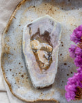 Fossil wood slice on a rustic ceramic plate with purple flowers
