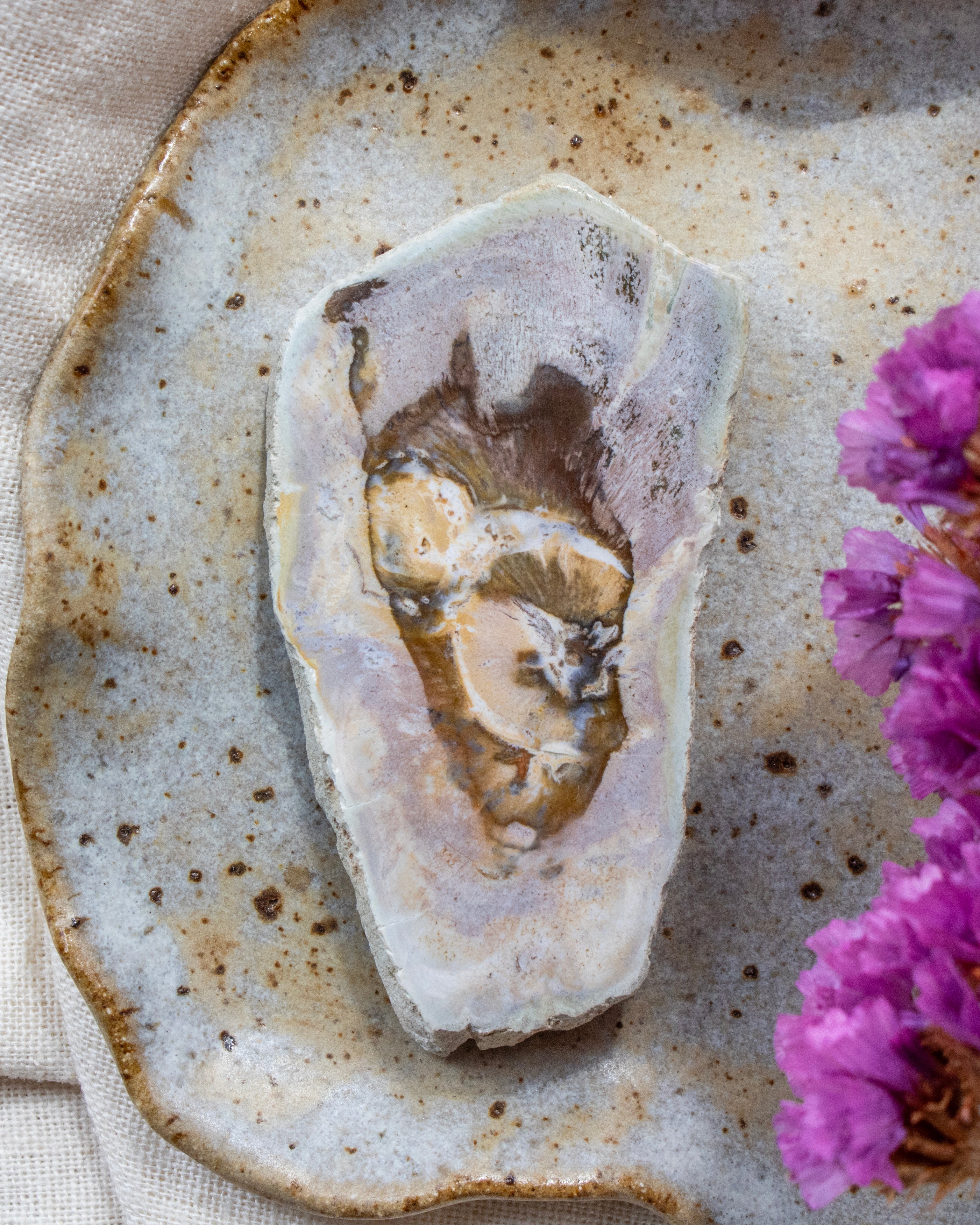 Fossil wood slice on a rustic ceramic plate with purple flowers