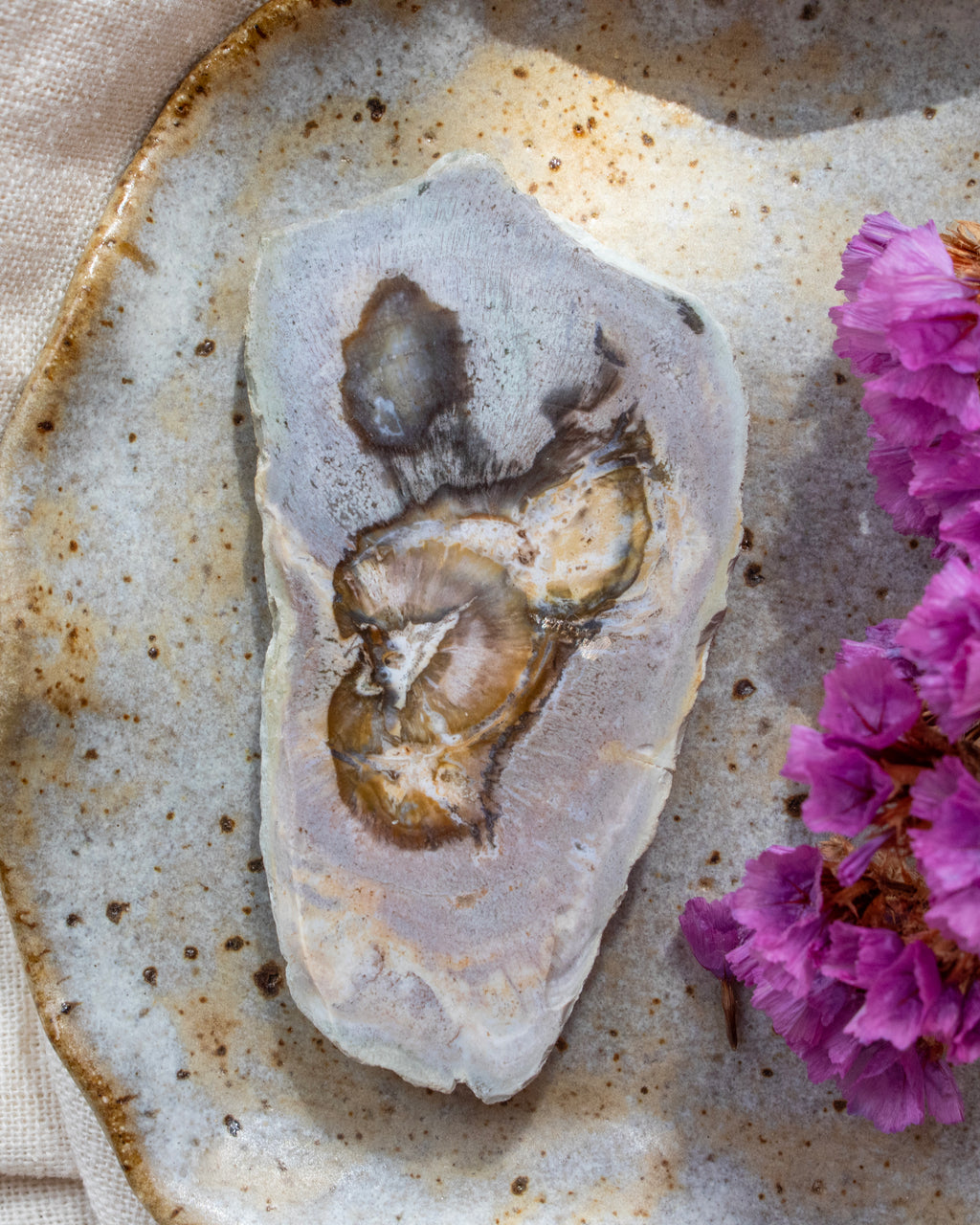 Petrified wood crystal on a textured surface with purple flowers