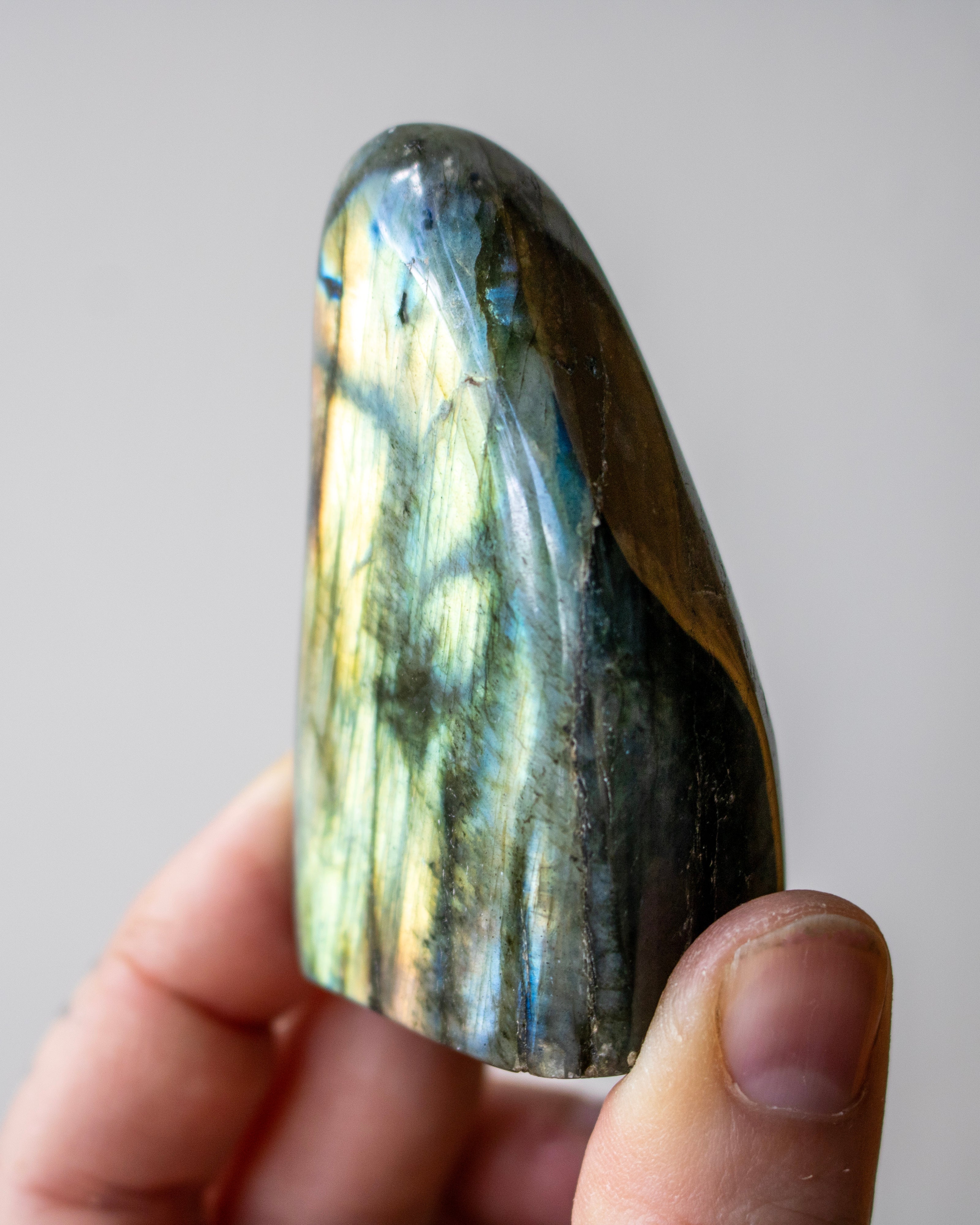 Hand holding a polished labradorite stone against a neutral background
