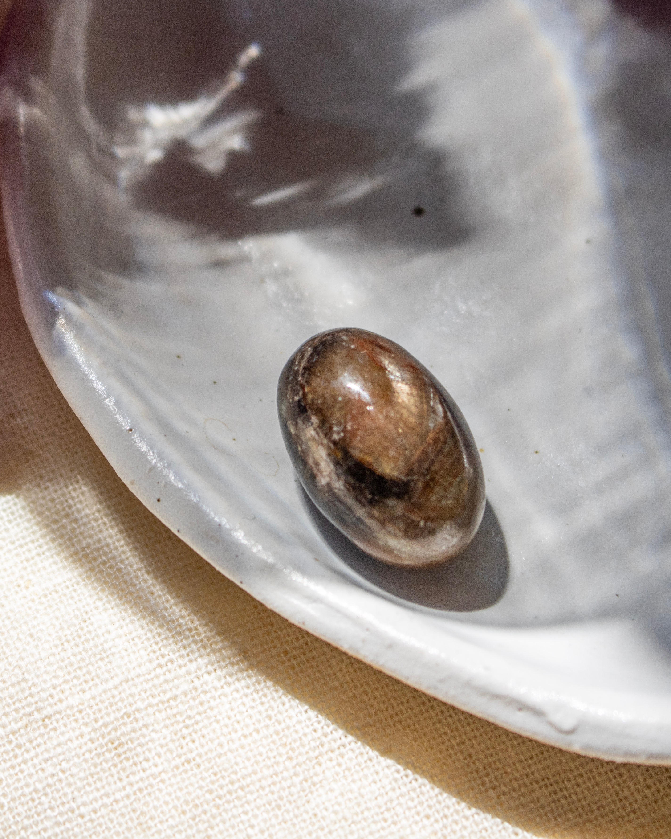 Small brown stone on a white plate on a beige surface