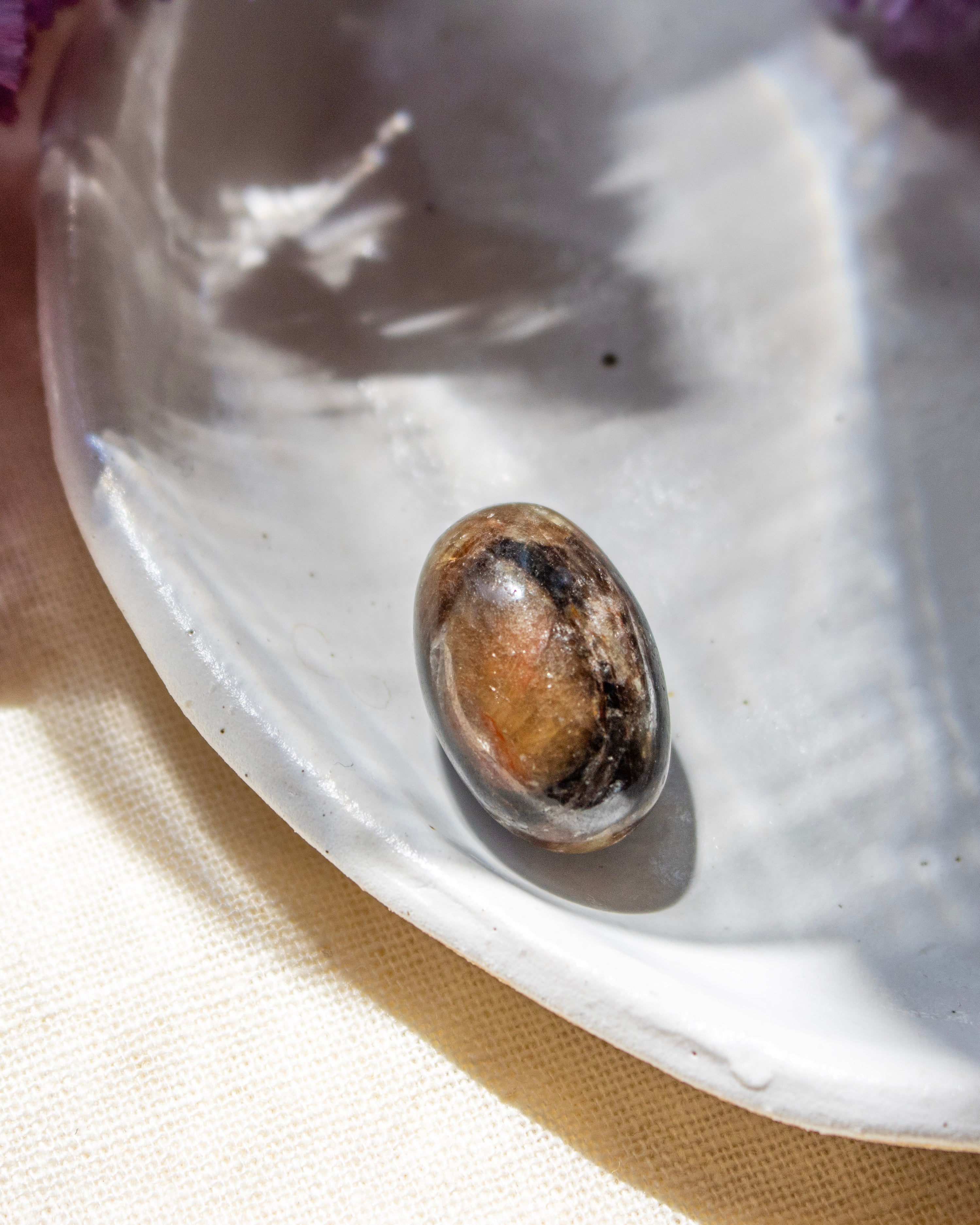 Small brownish stone on a white plate with a blurred background
