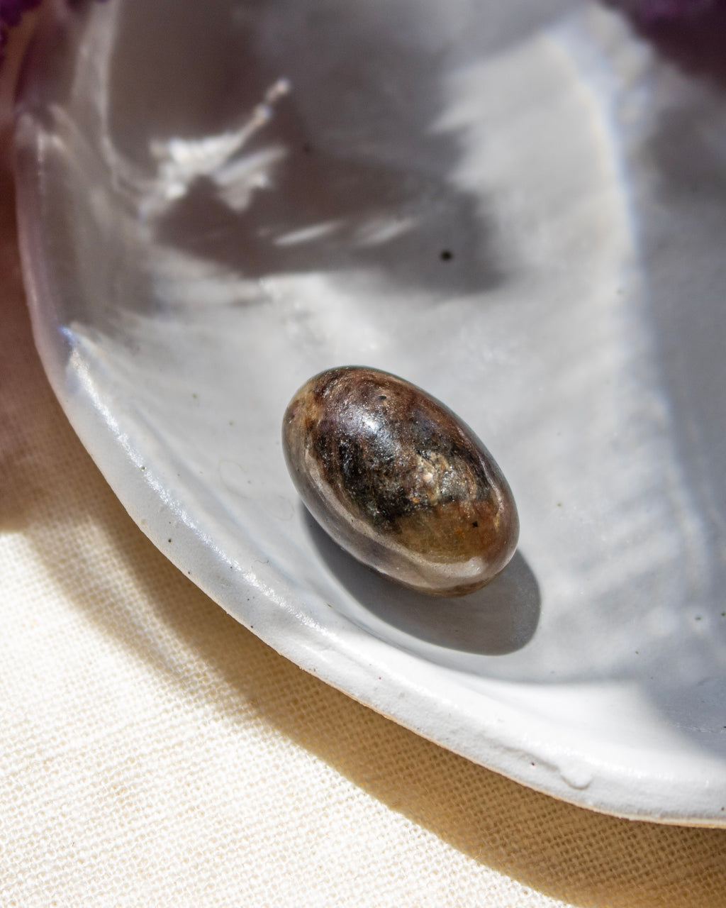 Small brown stone on a white plate