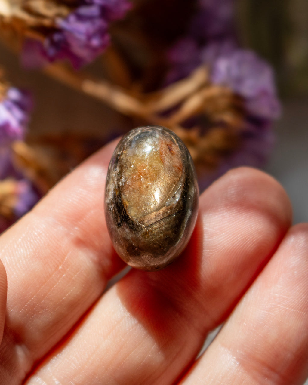 Brown oval stone held between fingers with blurred purple flowers in the background