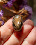 Brown oval stone held between fingers with blurred purple flowers in the background