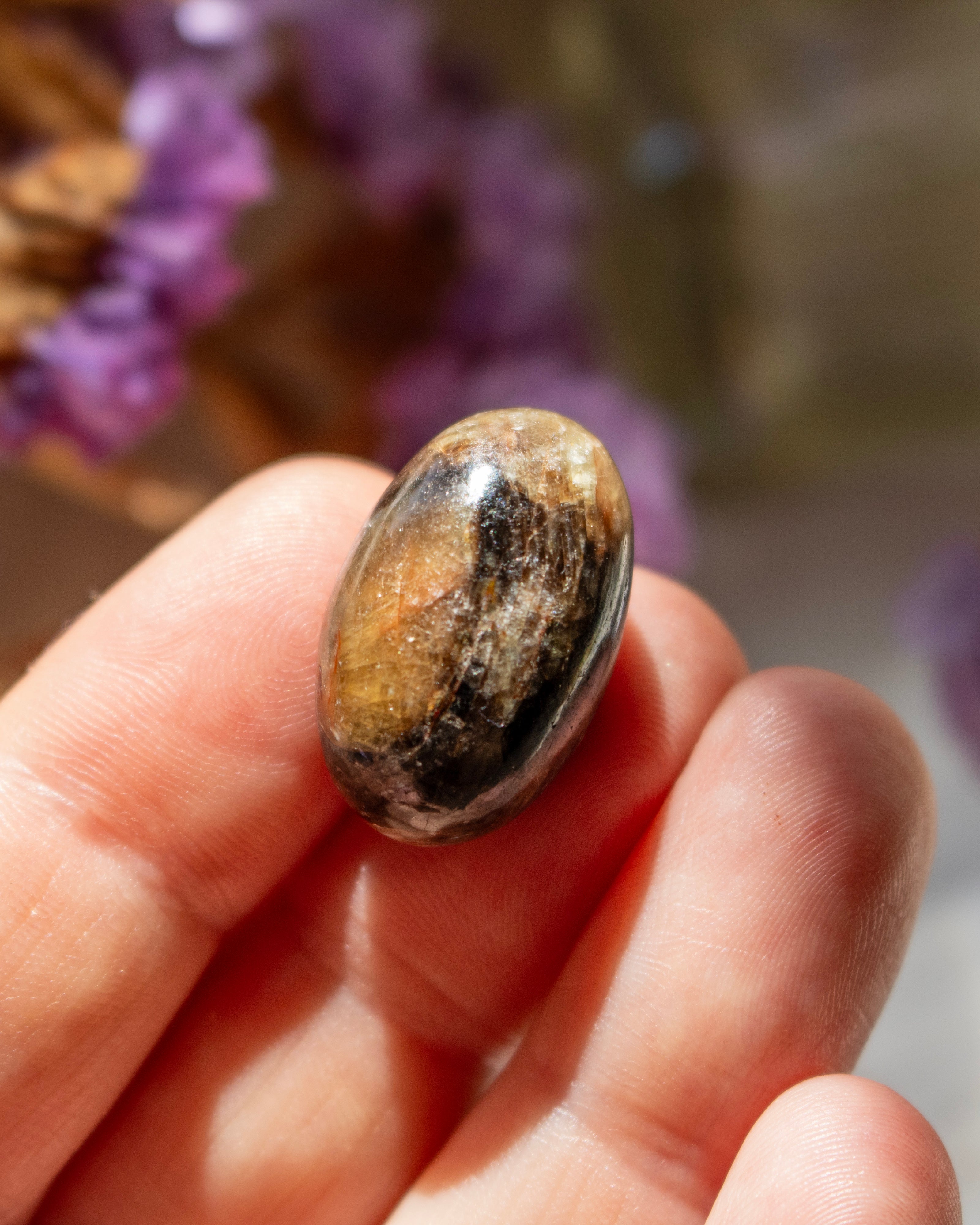 Hand holding a brown stone with blurred purple flowers in the background