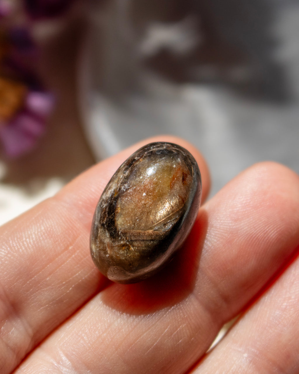 Close-up of a hand holding a polished brown stone against a blurred background