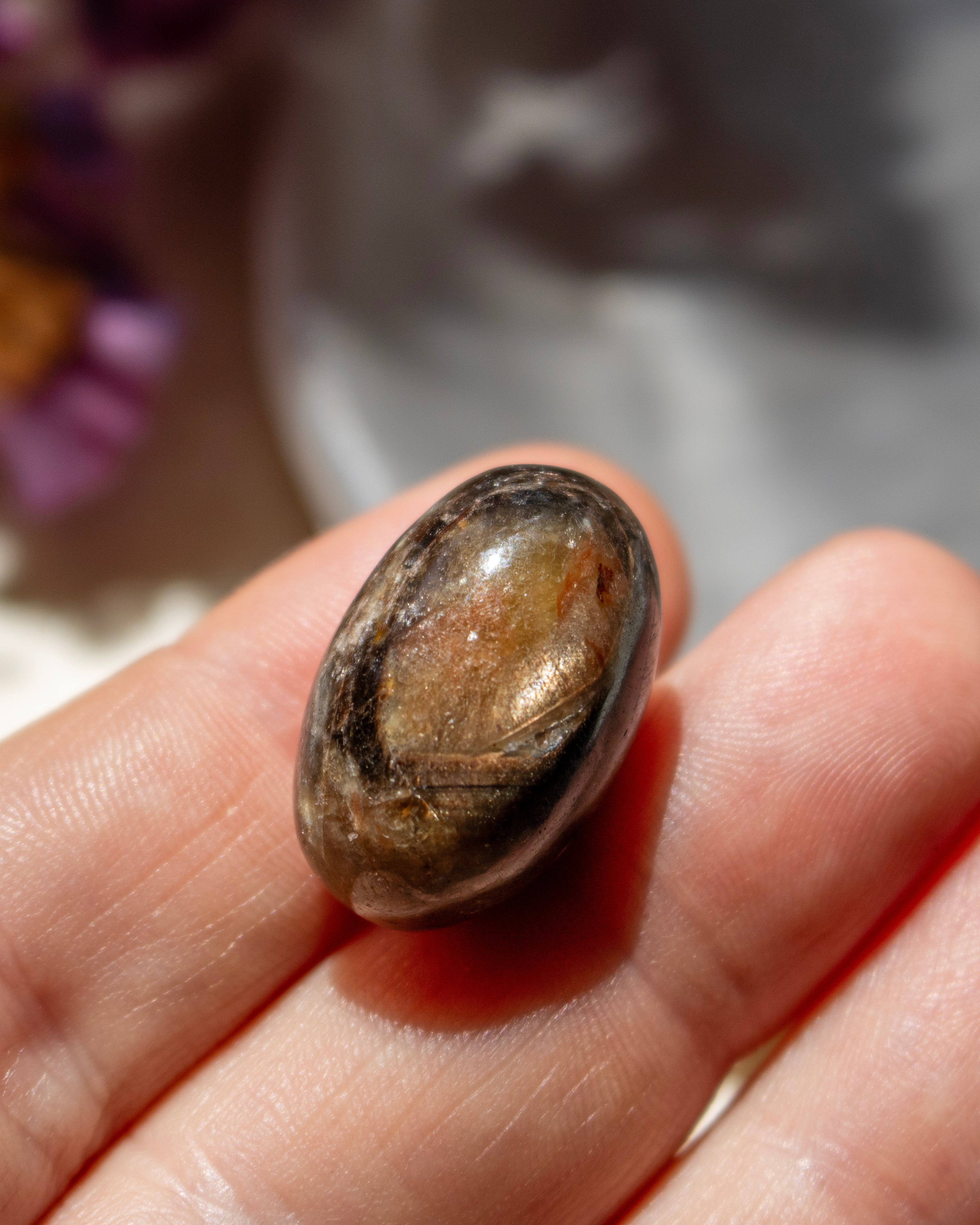 Close-up of a hand holding a polished brown stone against a blurred background