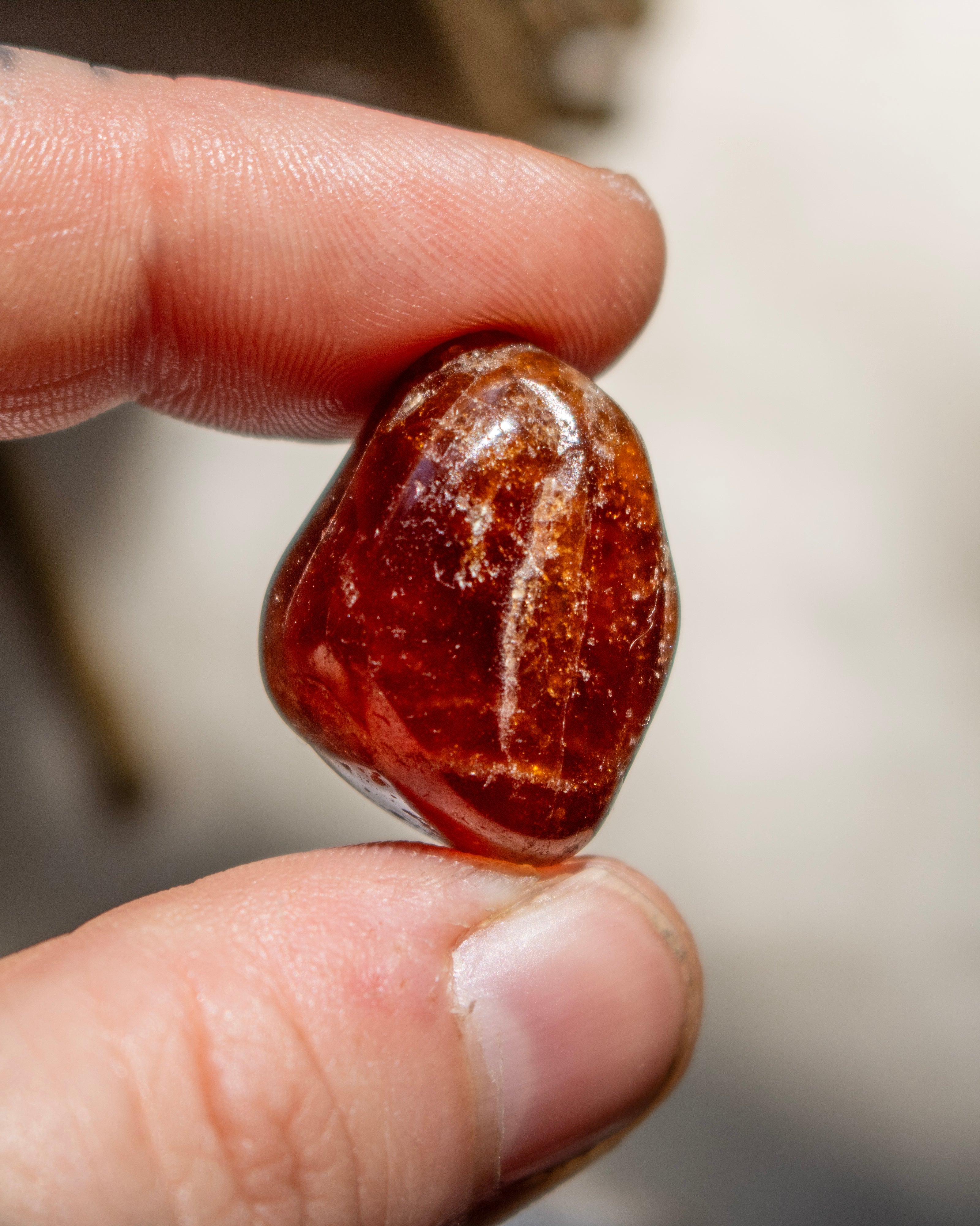 Hand holding a brown stone against a blurred background