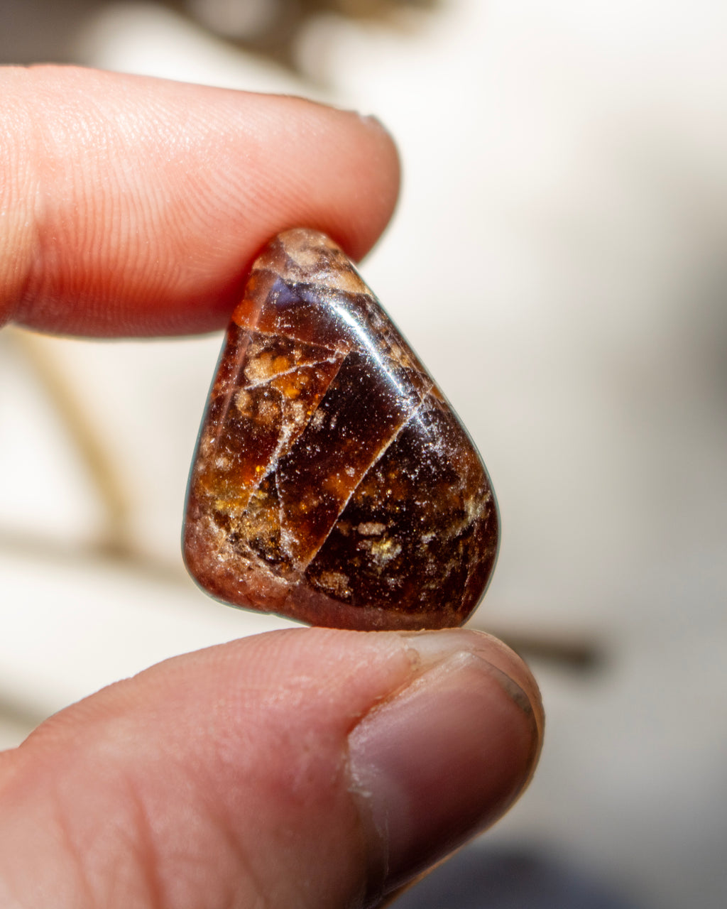 Hand holding a brown and orange stone against a blurred natural background