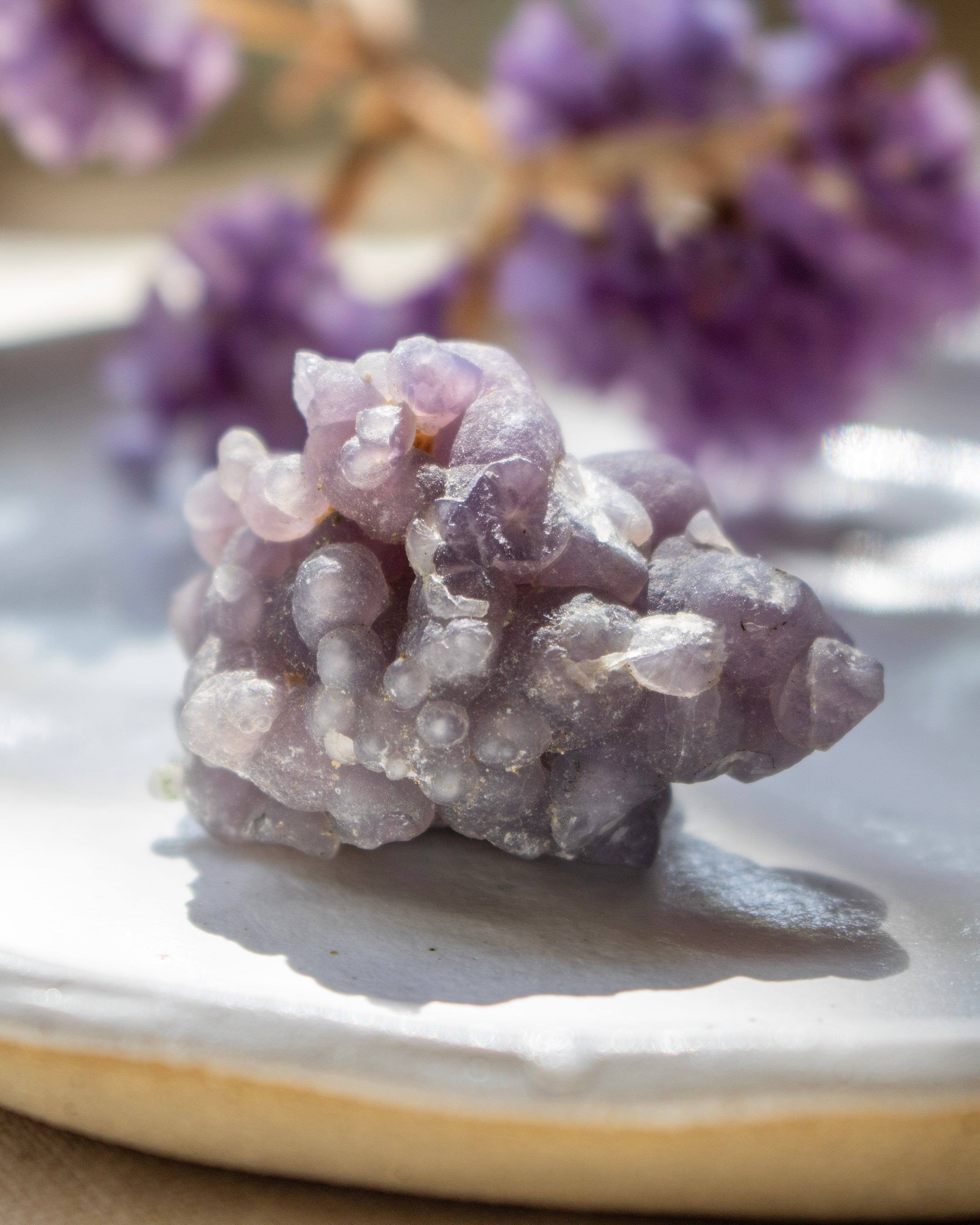 Purple crystal cluster on a white plate with blurred purple flowers in the background