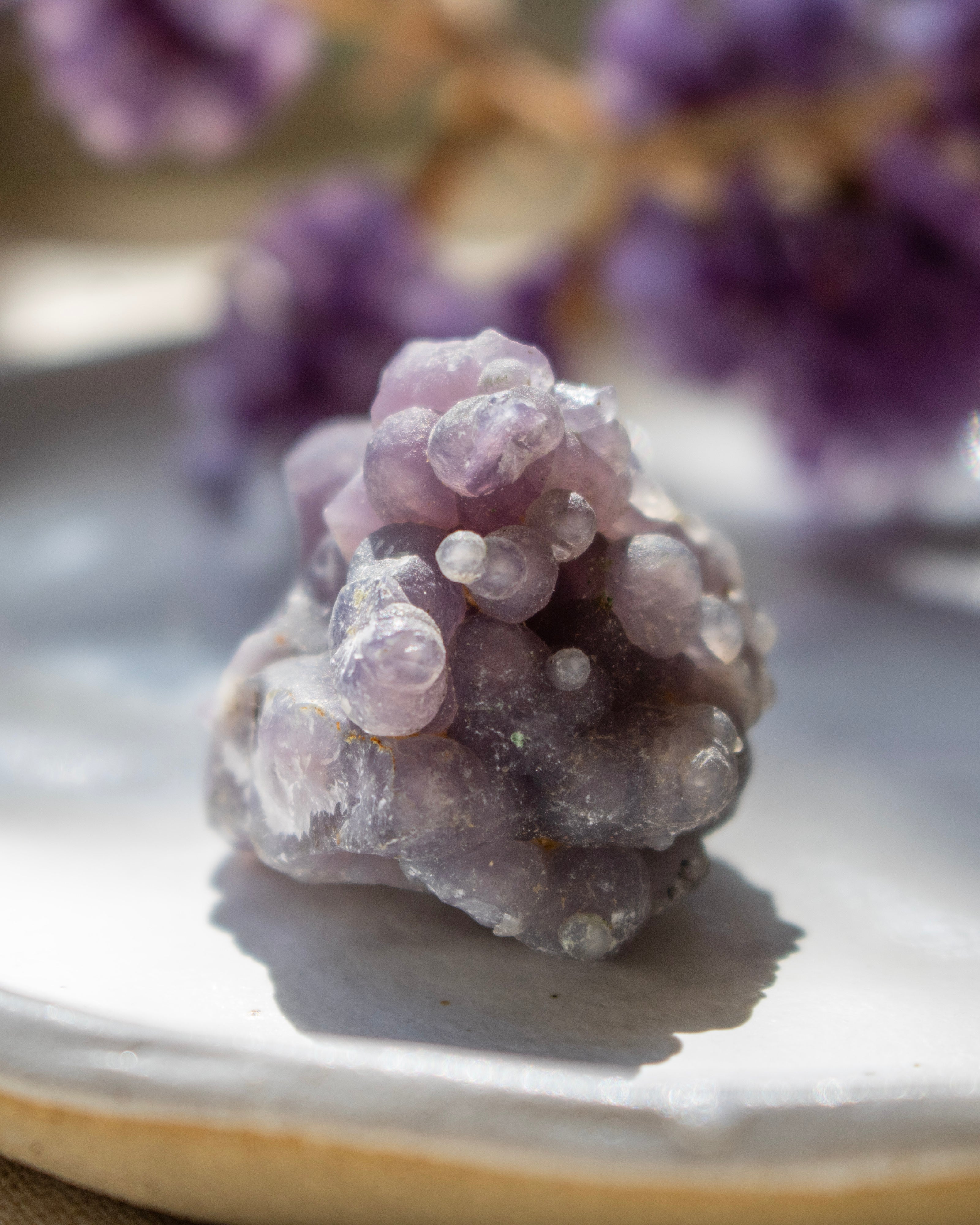 Purple crystal cluster on a white plate with blurred purple flowers in the background