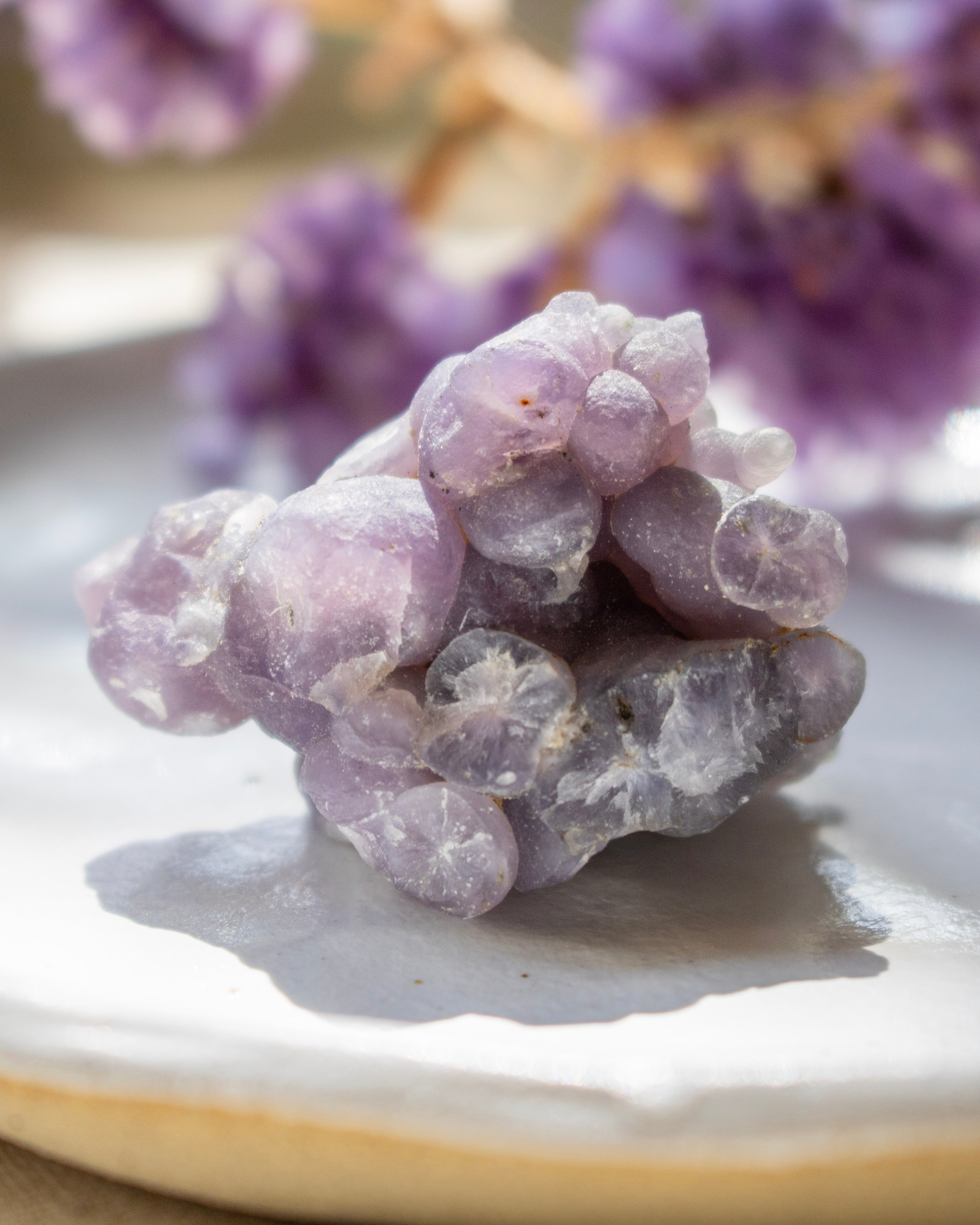 Cluster of purple crystals on a white surface with blurred purple flowers in the background