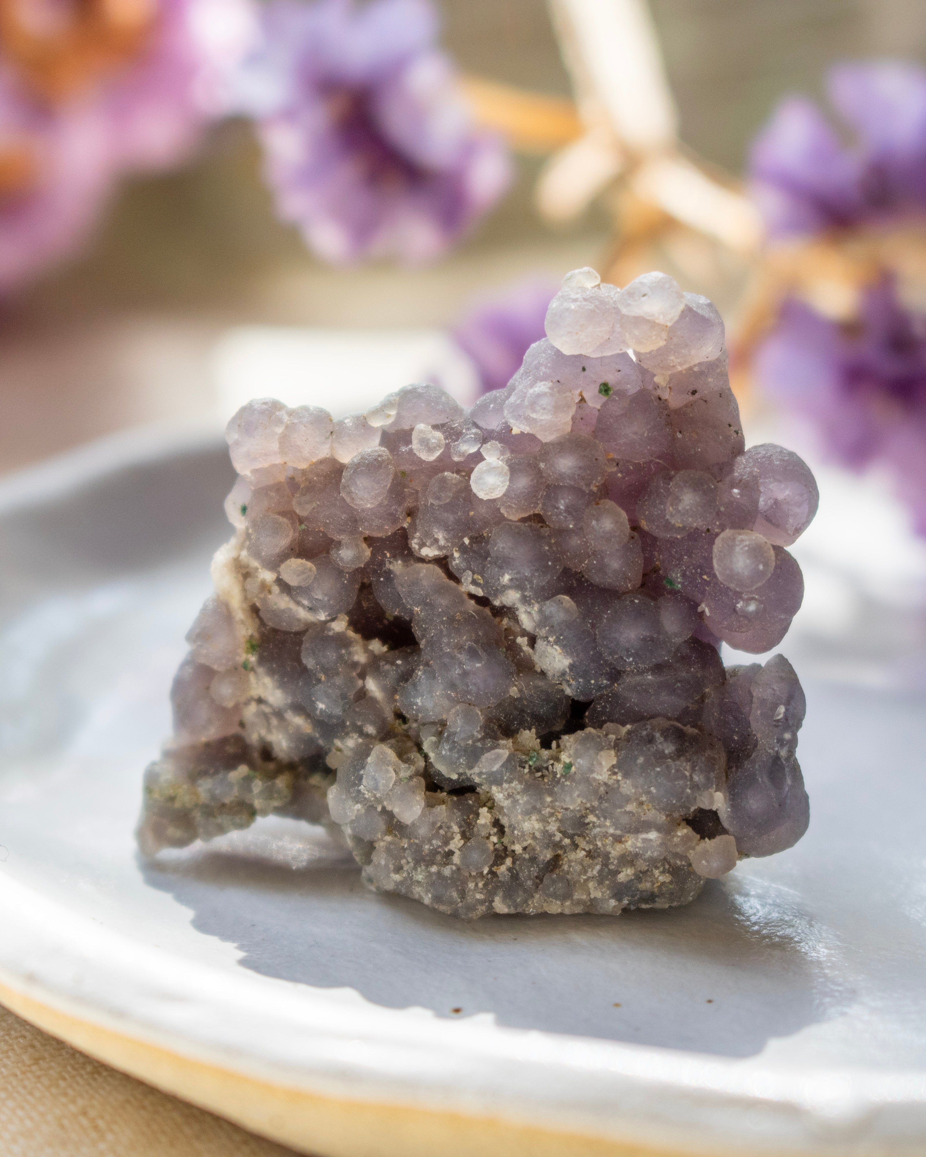Purple crystal cluster on a white plate with blurred purple flowers in the background