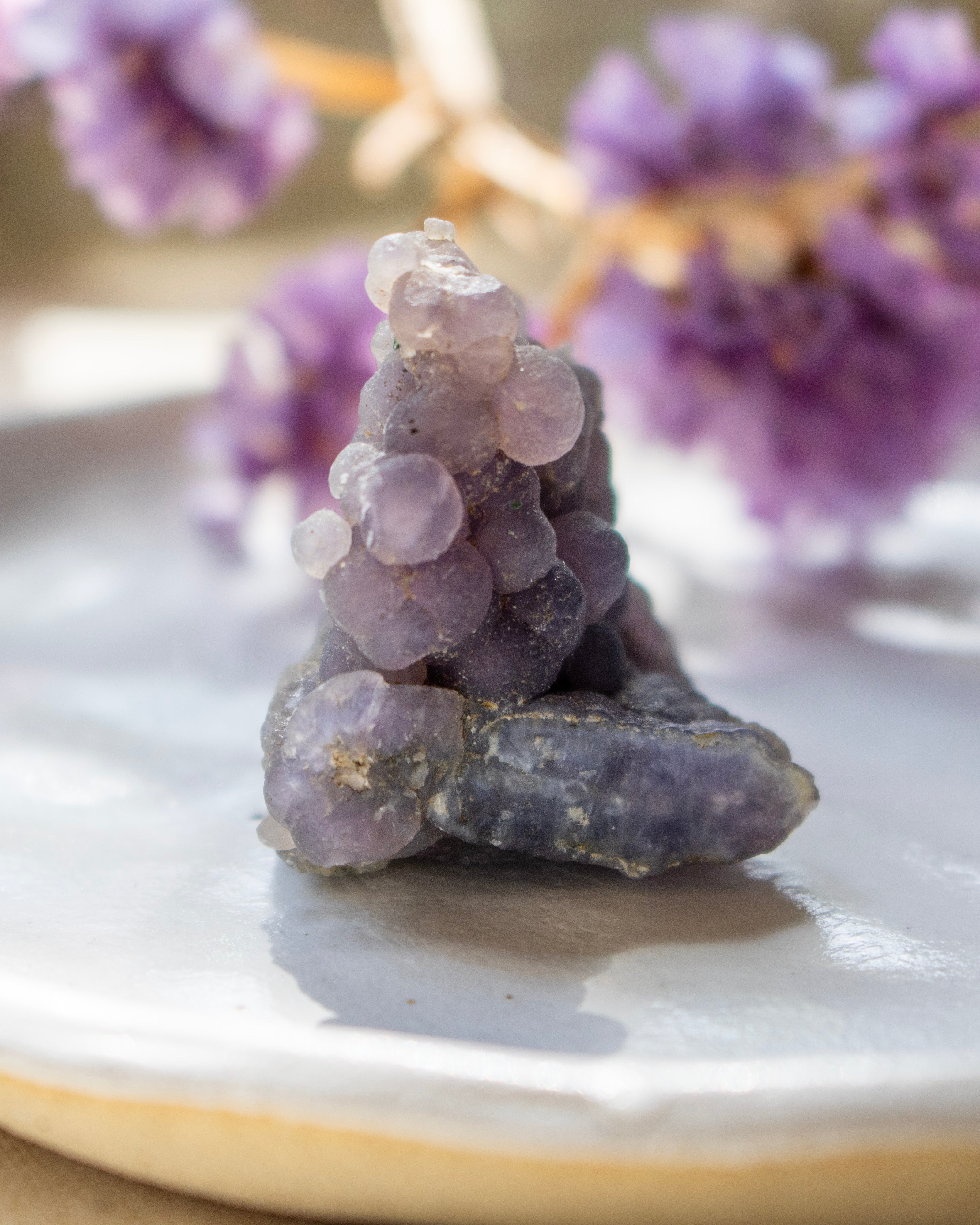 Stack of purple crystals on a white plate with blurred purple flowers in the background