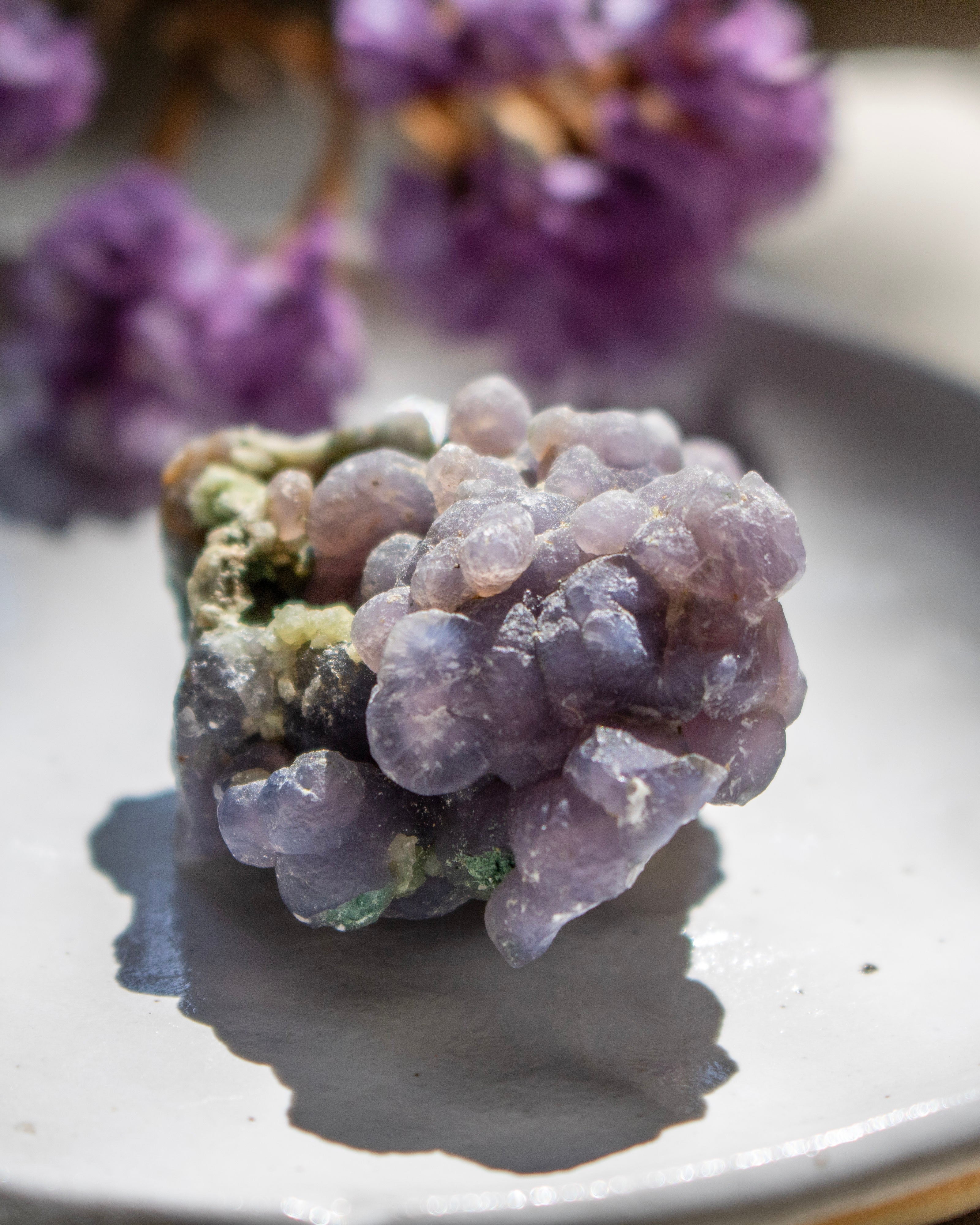 Close-up of a purple crystal on a reflective surface with blurred purple flowers in the background.
