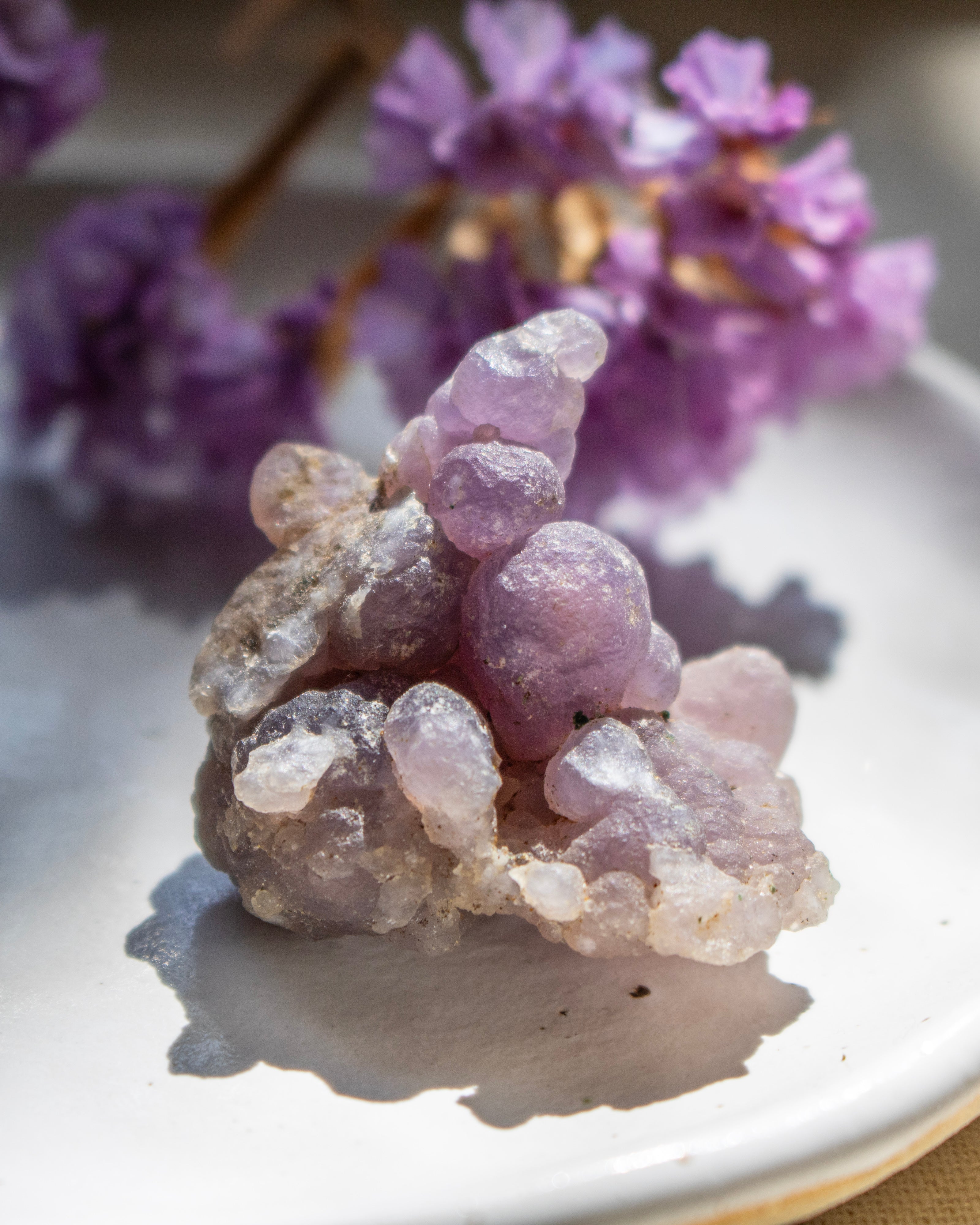 Purple crystal cluster on a white plate with purple flowers in the background
