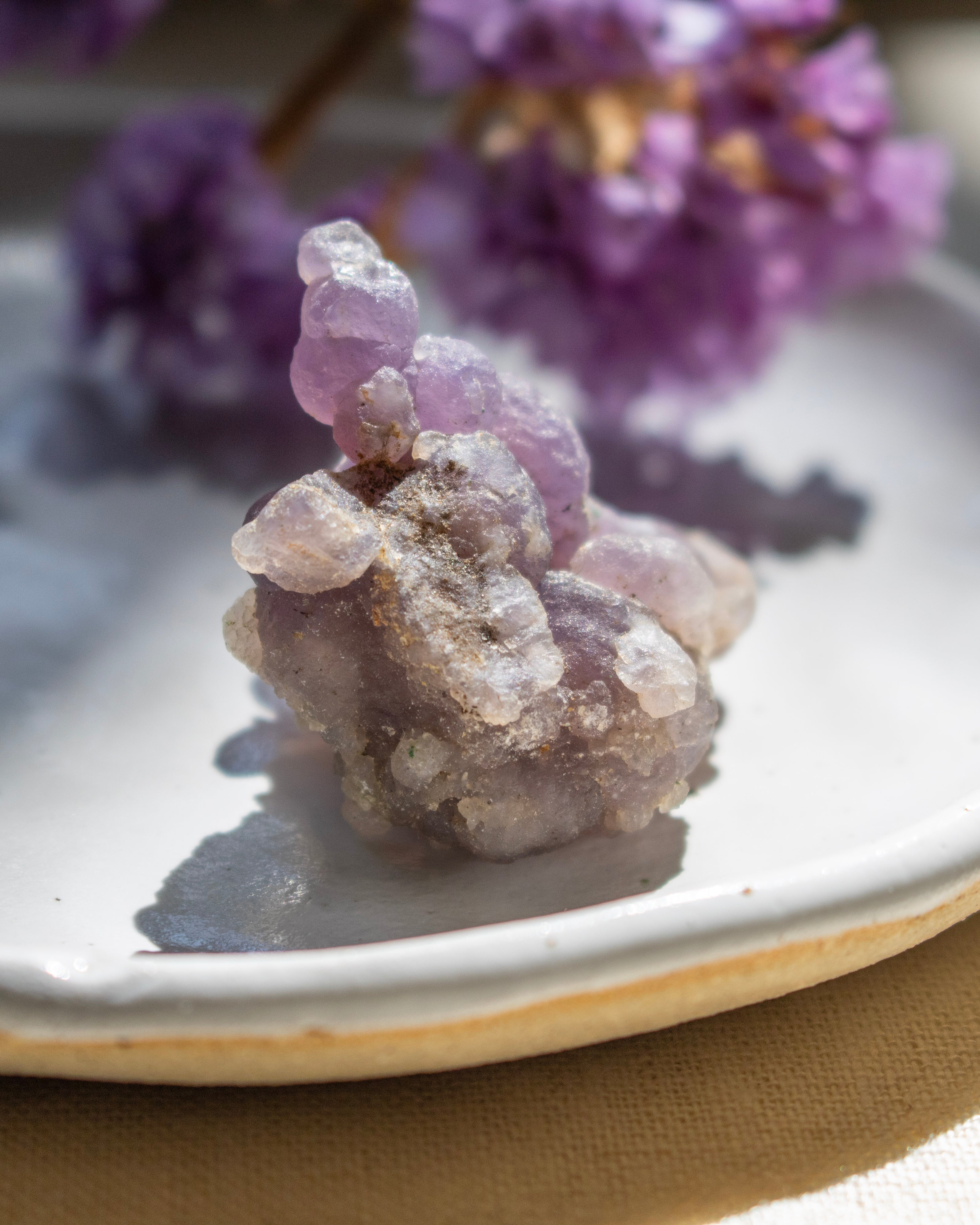 Amethyst crystal cluster on a white plate with purple flowers in the background